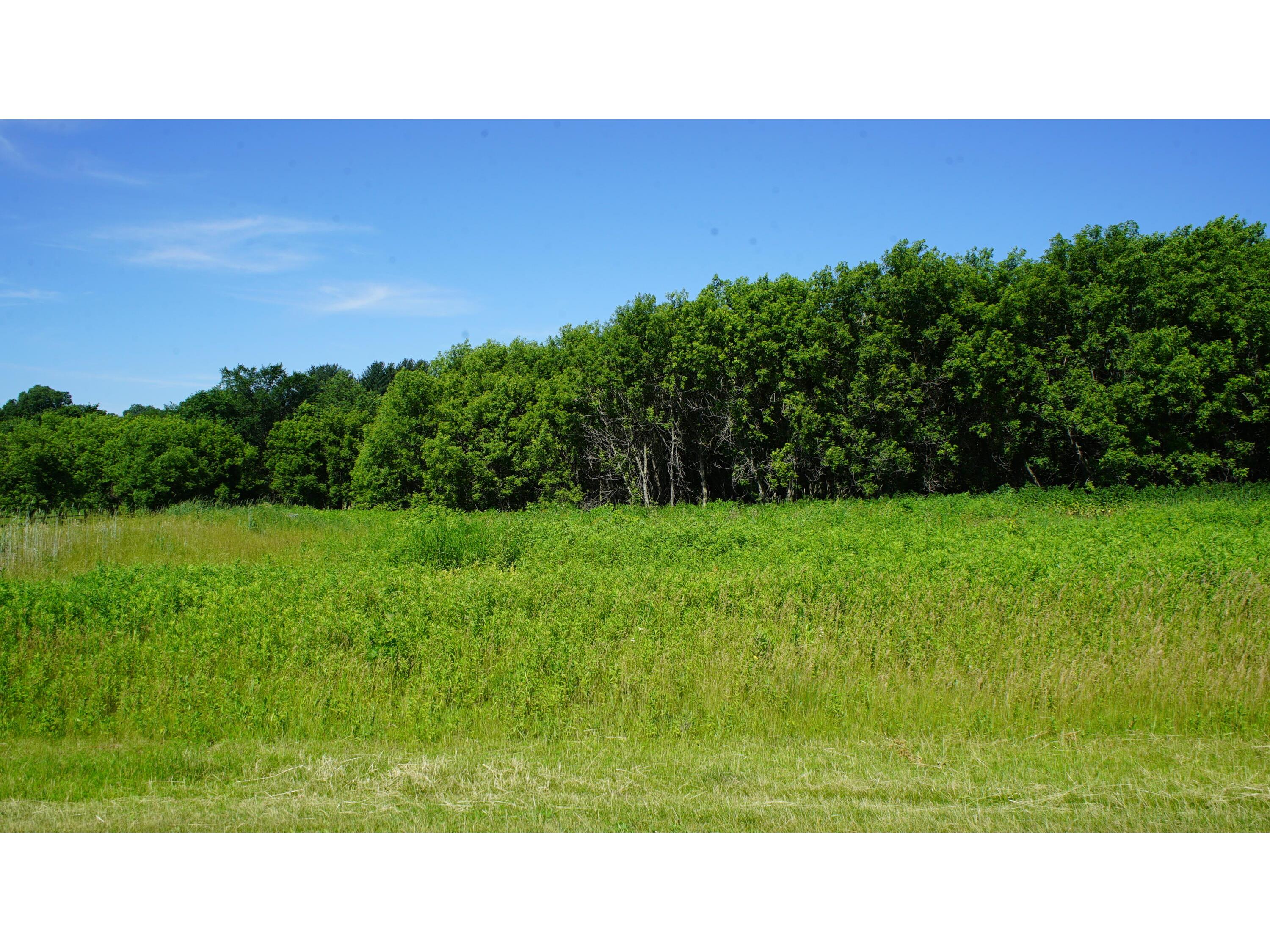 Lot 1 Jackpine Ave, Leon, WI, 54656 MLS 1799803 Edina Realty