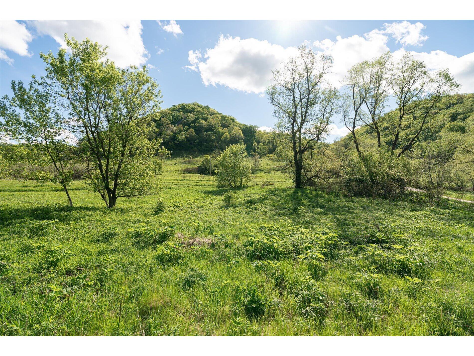 Lot 1 N Fork Webster WI 54664 1965938 image13