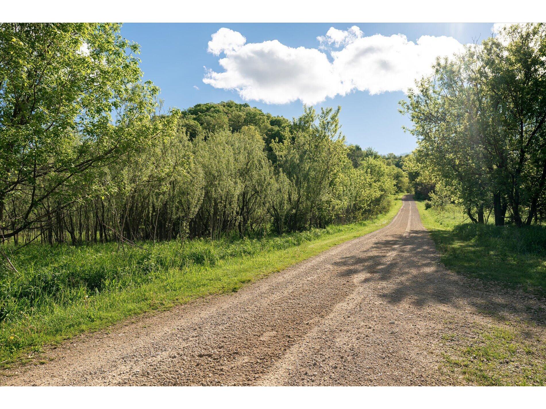 Lot 1 N Fork Webster WI 54664 1965938 image7
