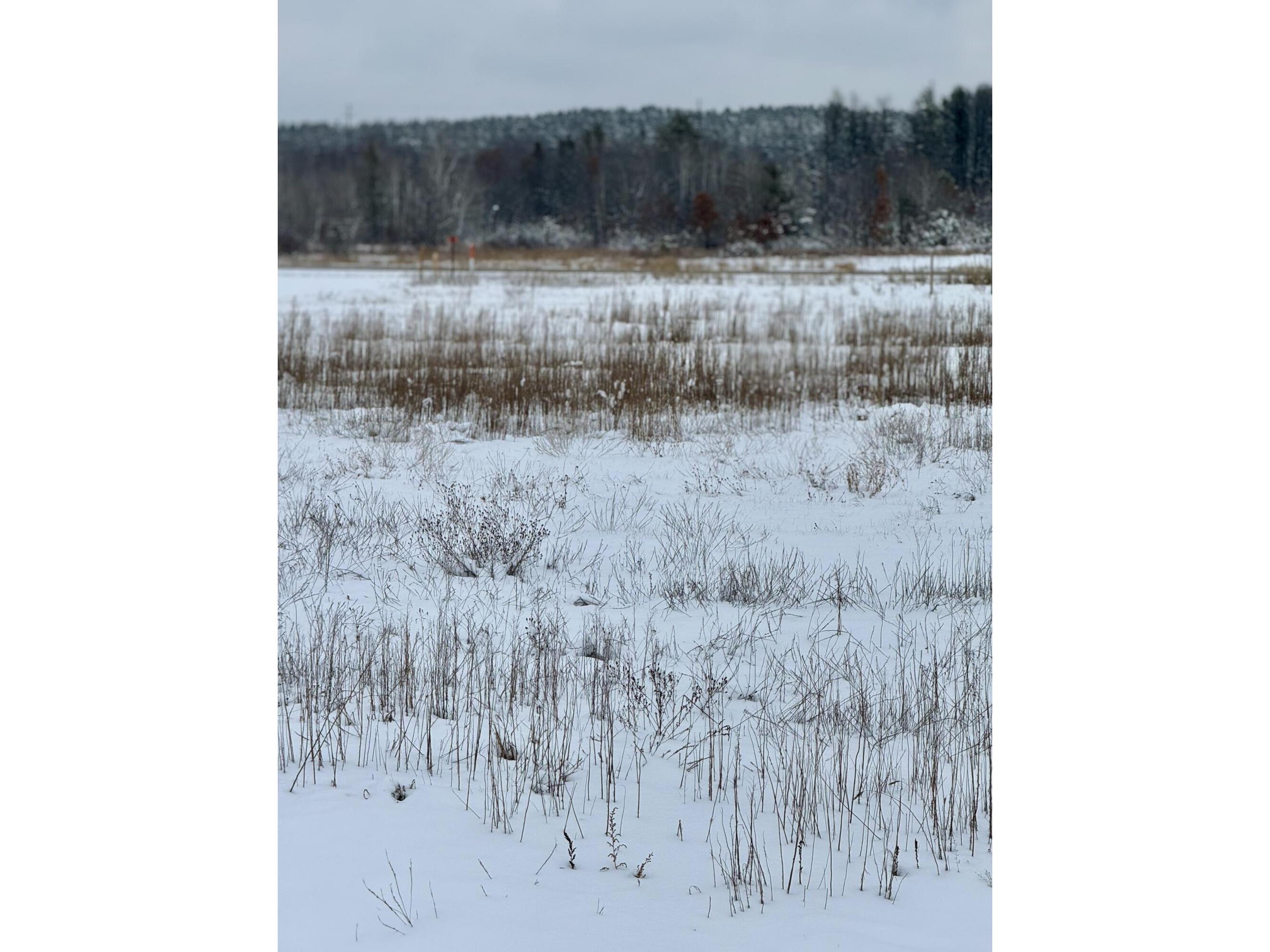 Lot 12 Impact Angelo WI 54656 1861877 image1