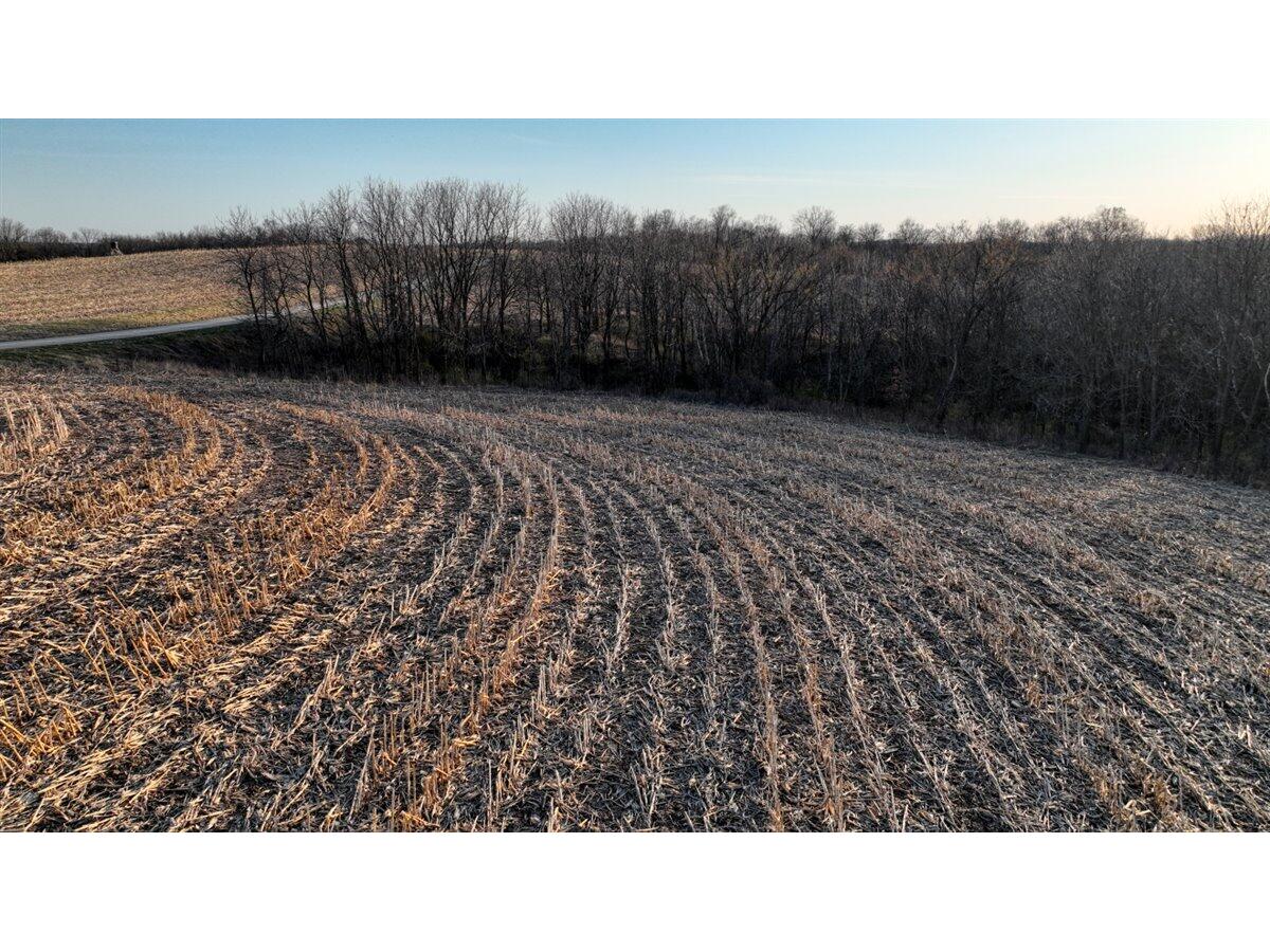 Lot 3 Lucky Seneca WI 54626 1944454 image12