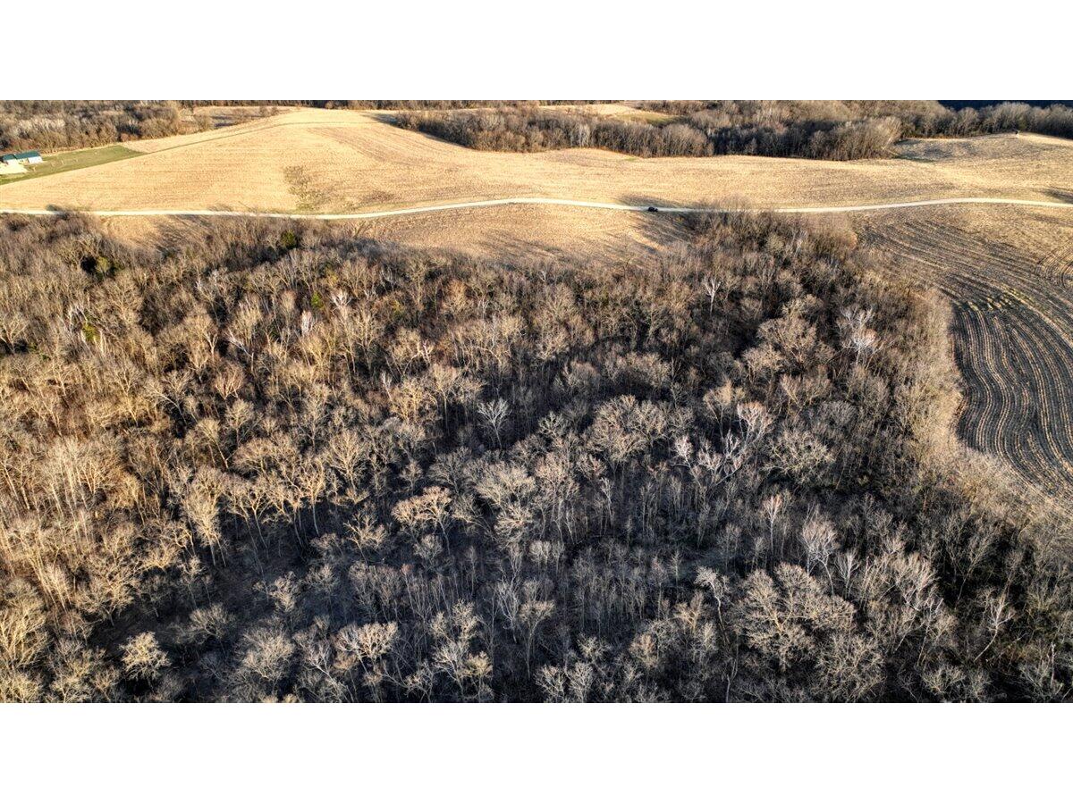 Lot 3 Lucky Seneca WI 54626 1944454 image13