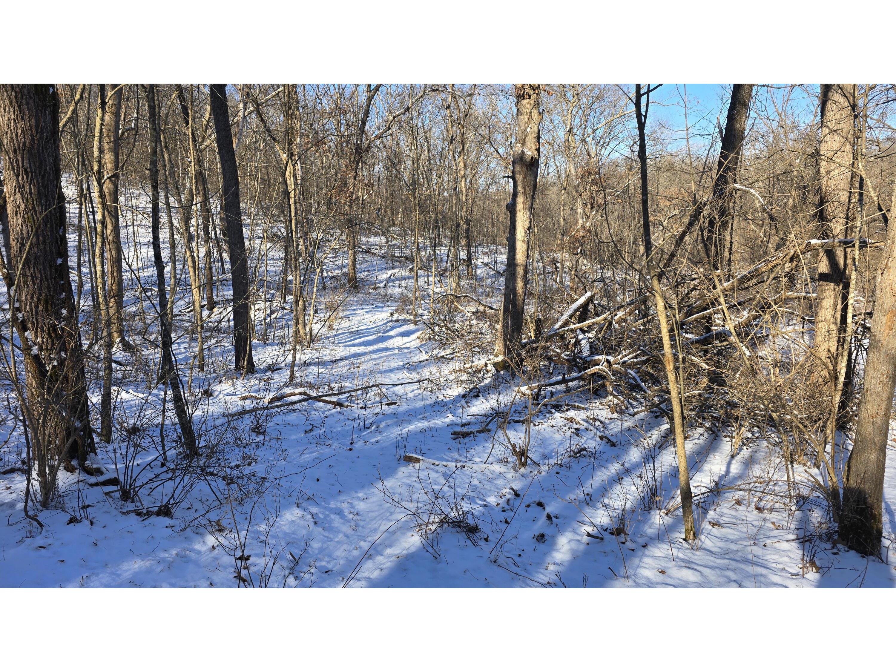 Lot 3 Lucky Seneca WI 54626 1944454 image16