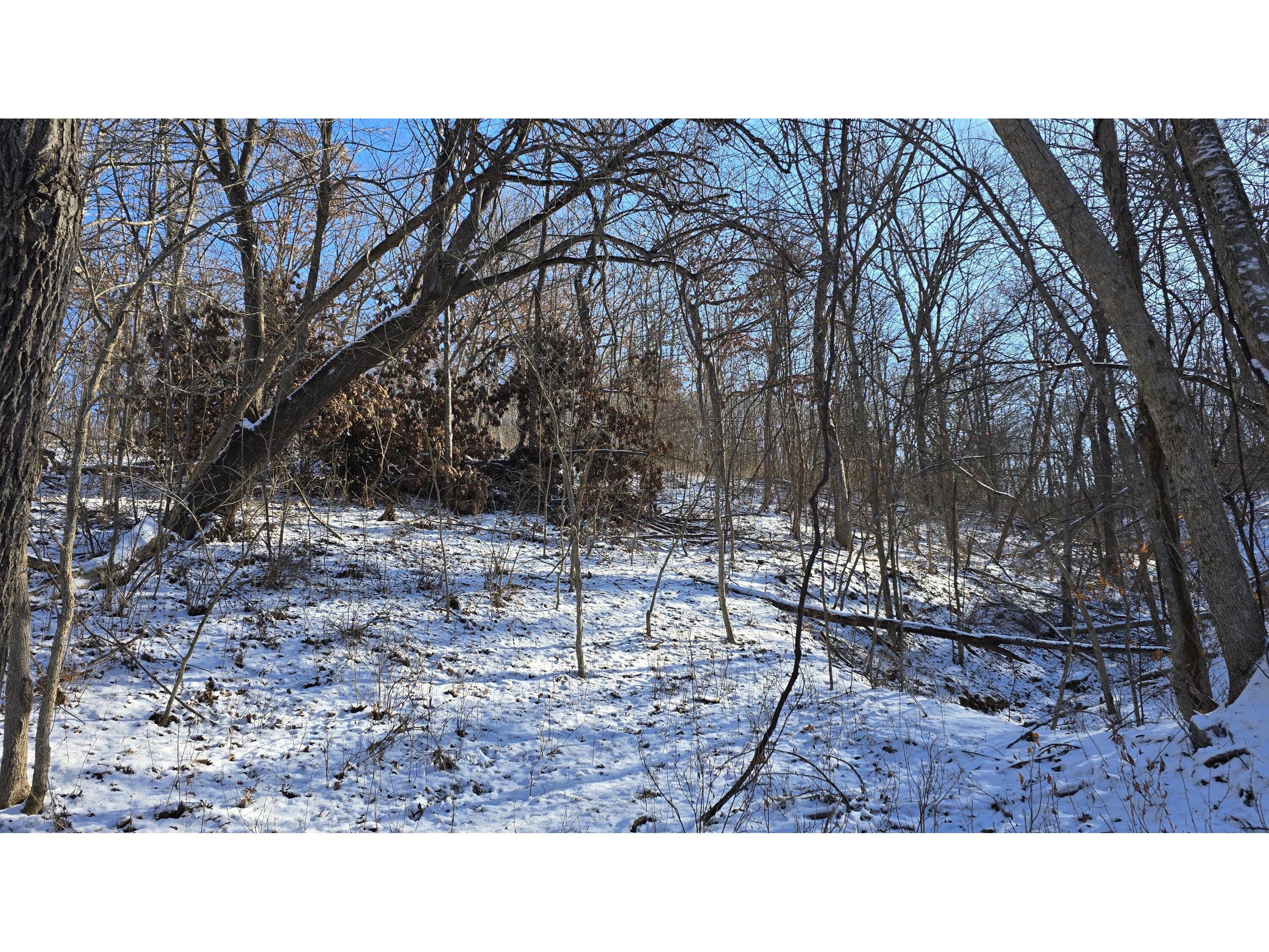 Lot 3 Lucky Seneca WI 54626 1944454 image17