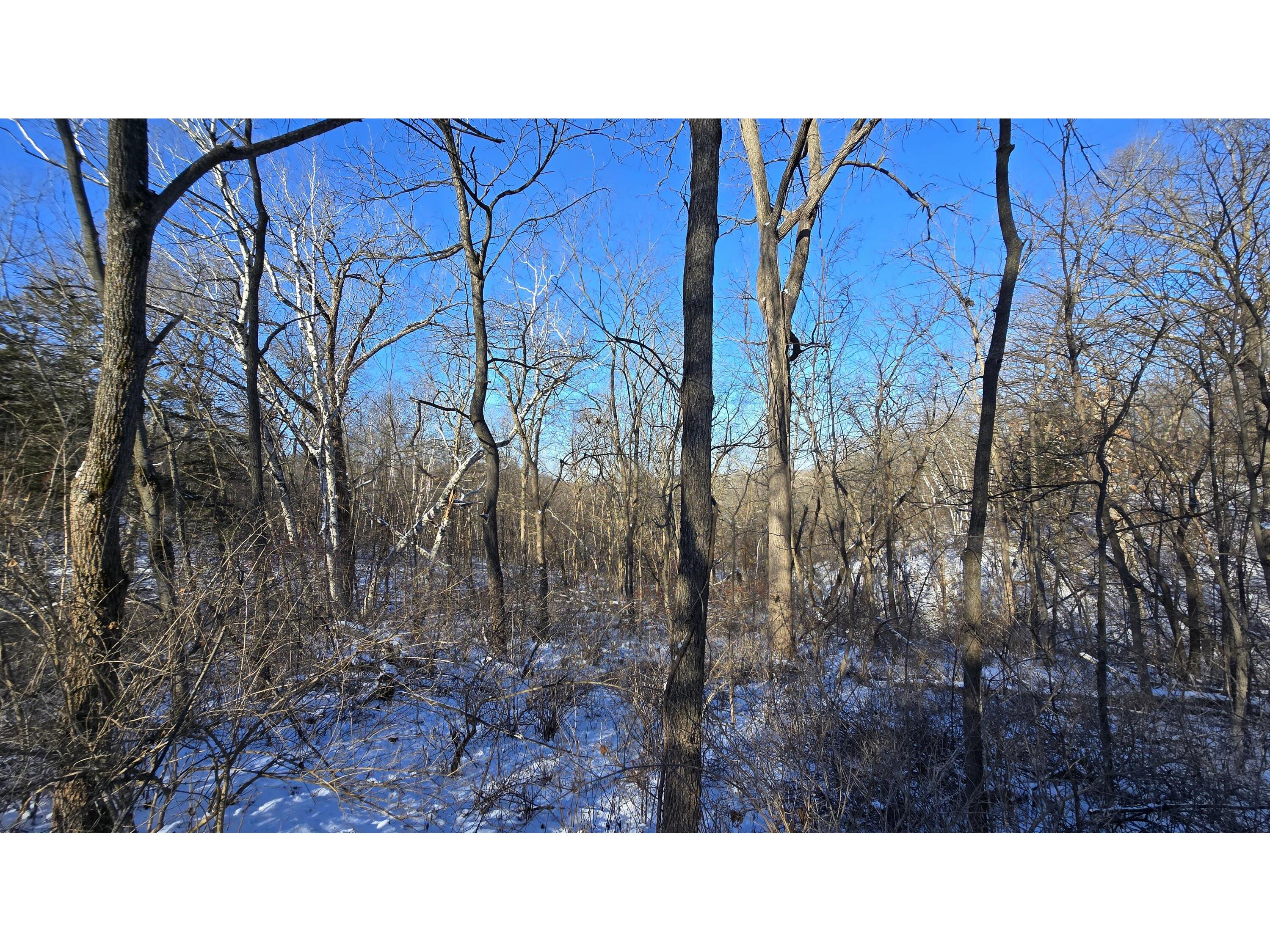 Lot 3 Lucky Seneca WI 54626 1944454 image18