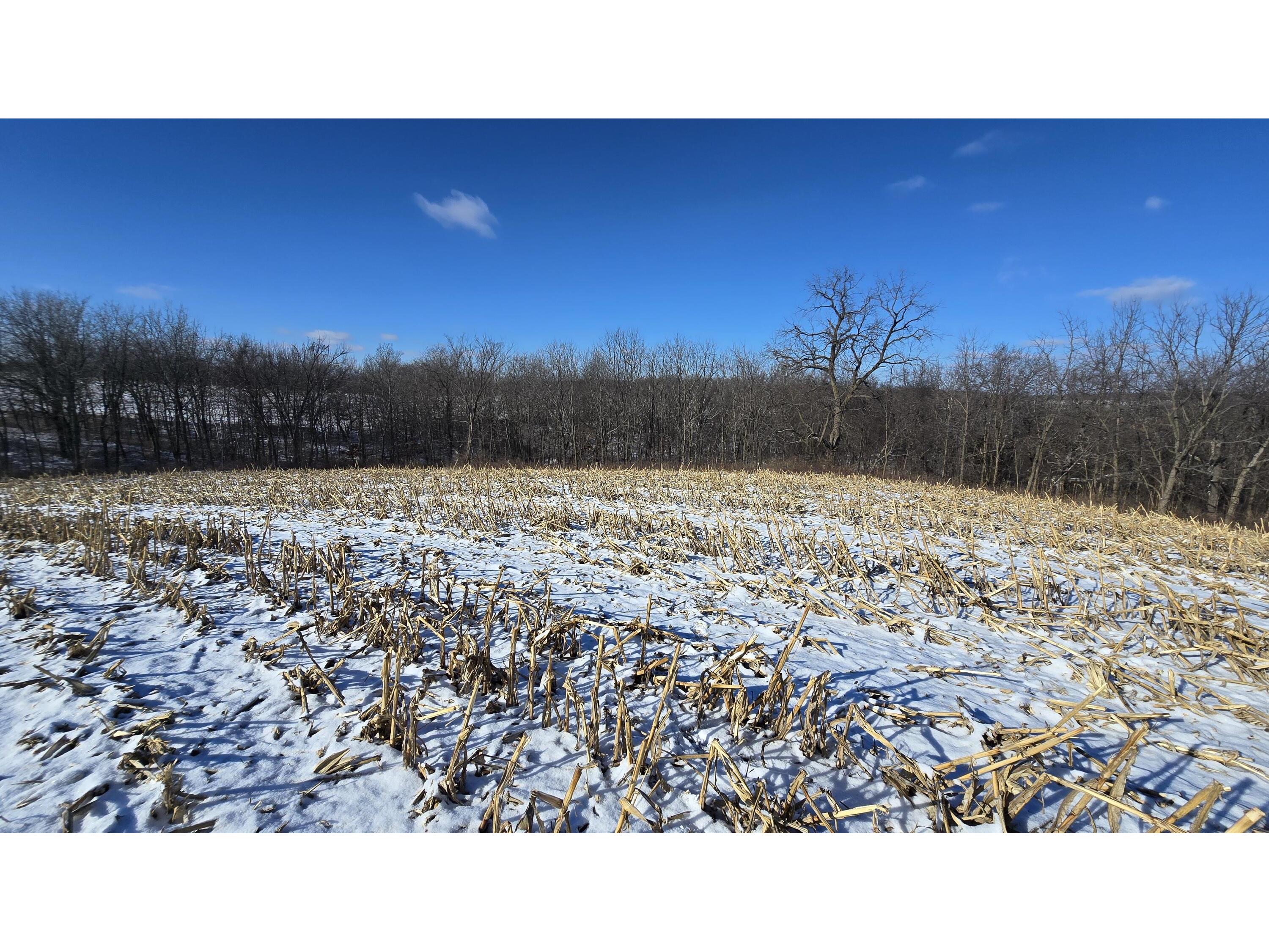 Lot 3 Lucky Seneca WI 54626 1944454 image19