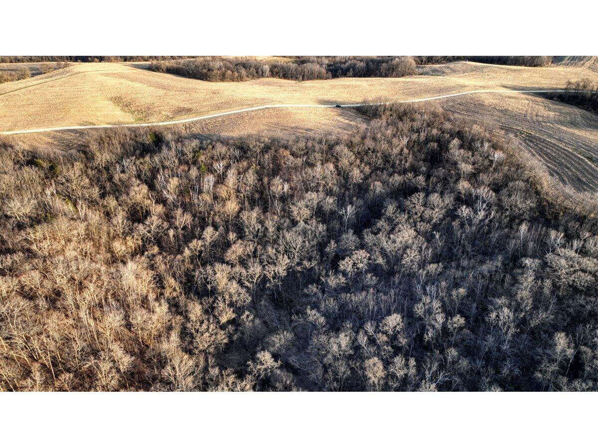 Lot 3 Lucky Seneca WI 54626 1944454 image22