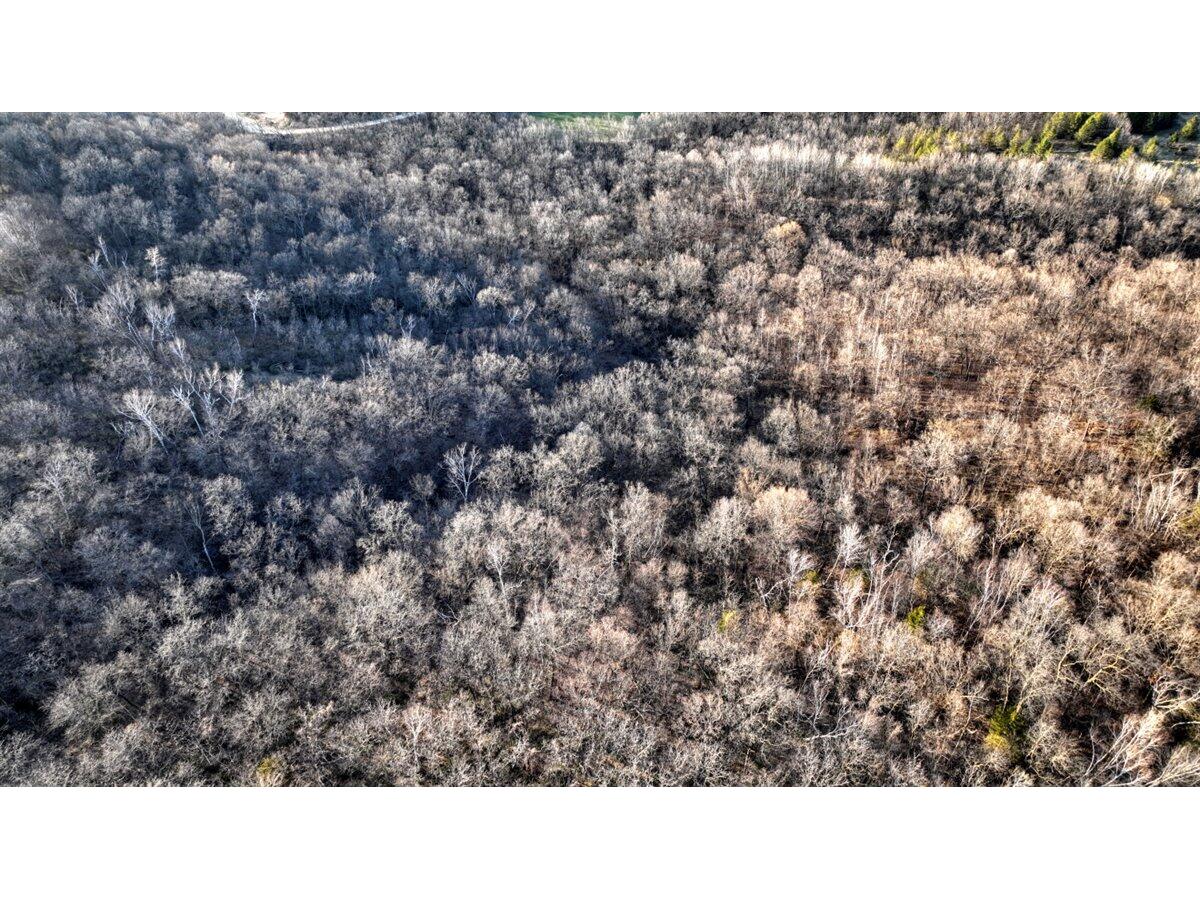 Lot 3 Lucky Seneca WI 54626 1944454 image23