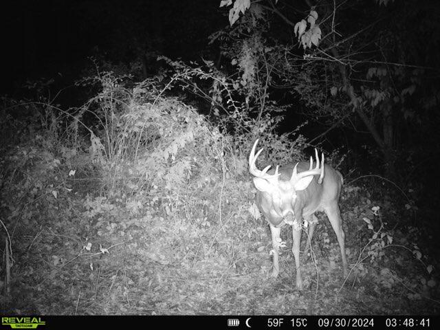 Lot 3 Lucky Seneca WI 54626 1944454 image3