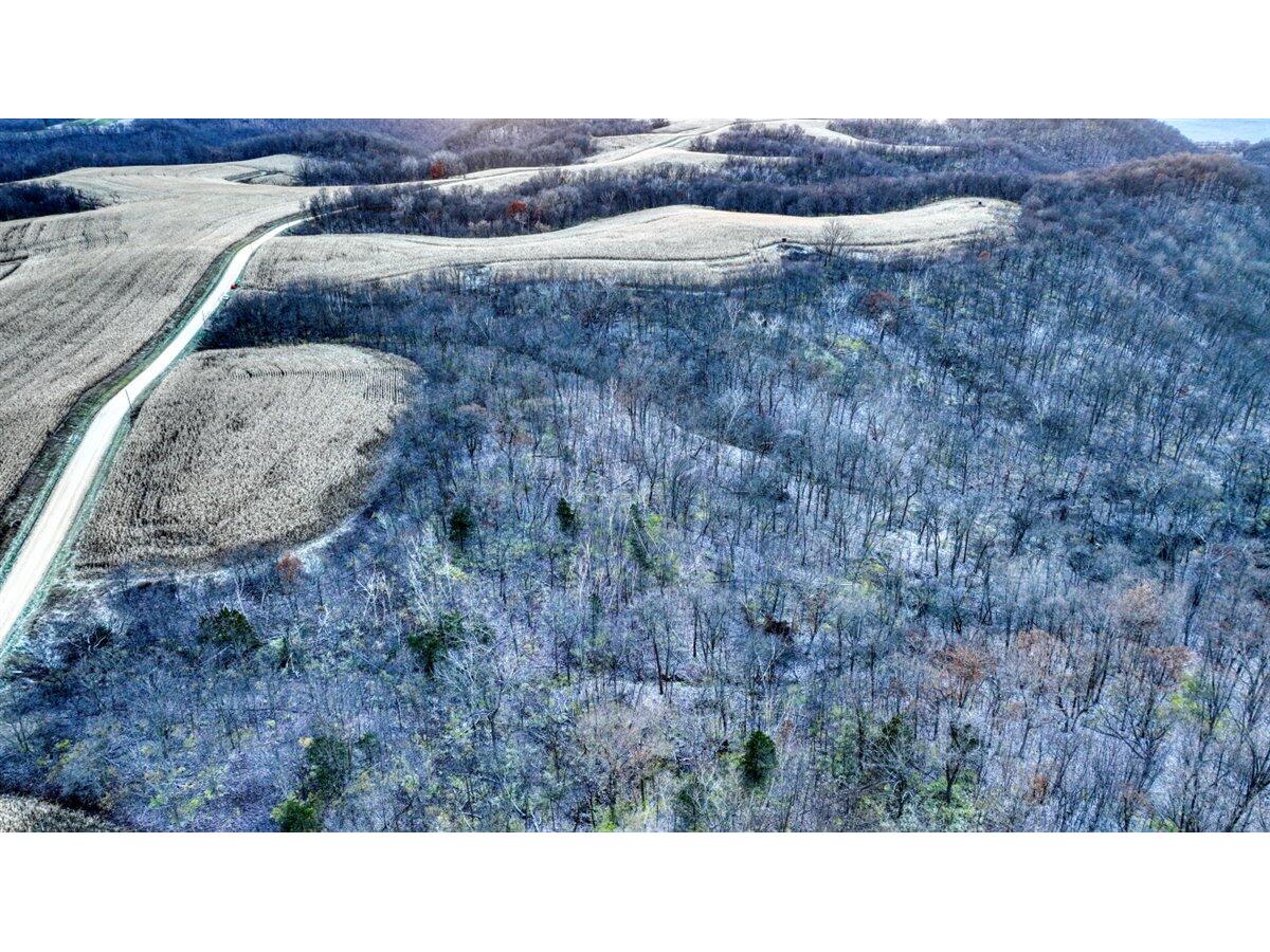 Lot 3 Lucky Seneca WI 54626 1944454 image5