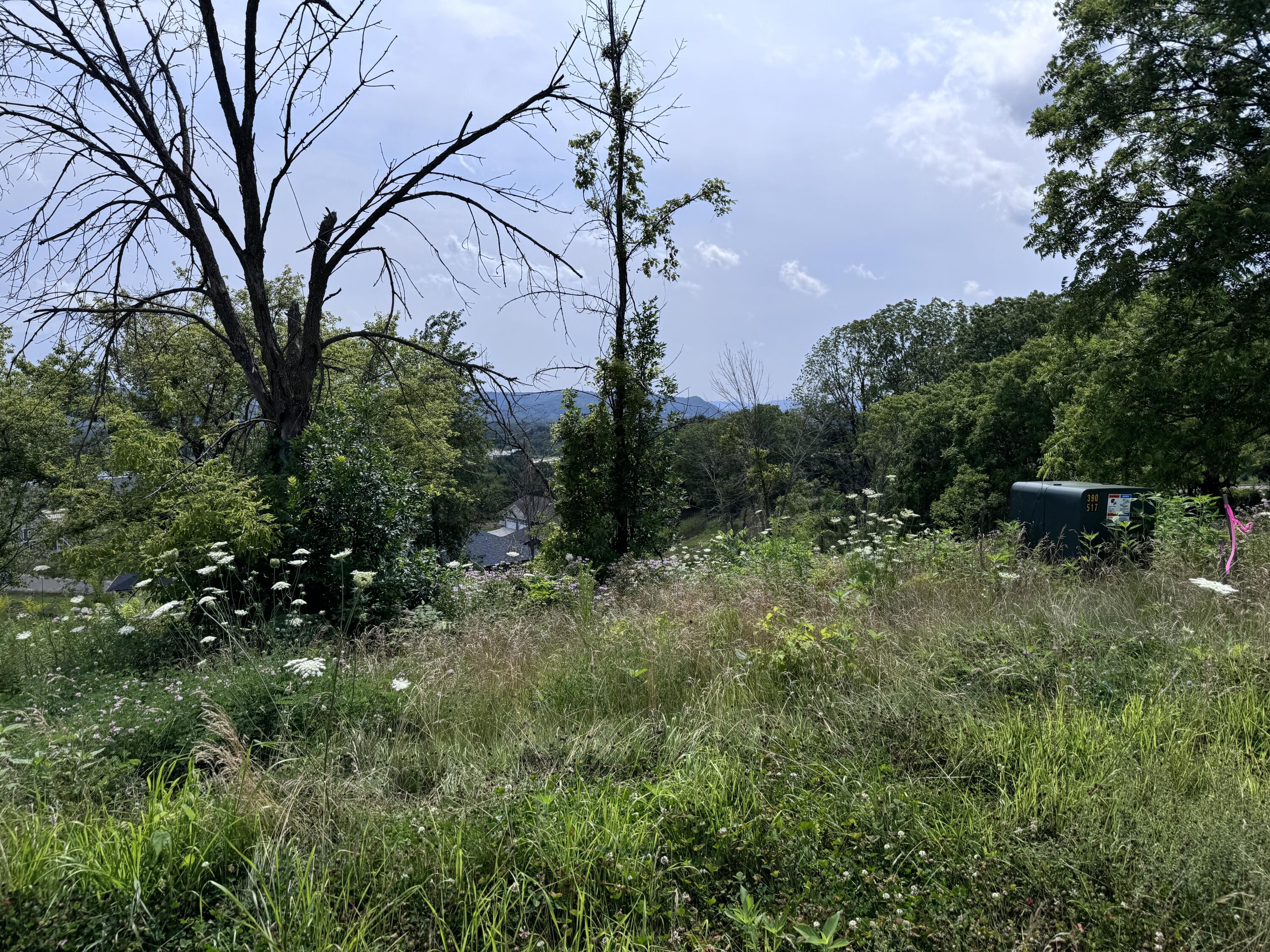 Lot 38 Madison Heights Onalaska WI 54650 1950061 image1