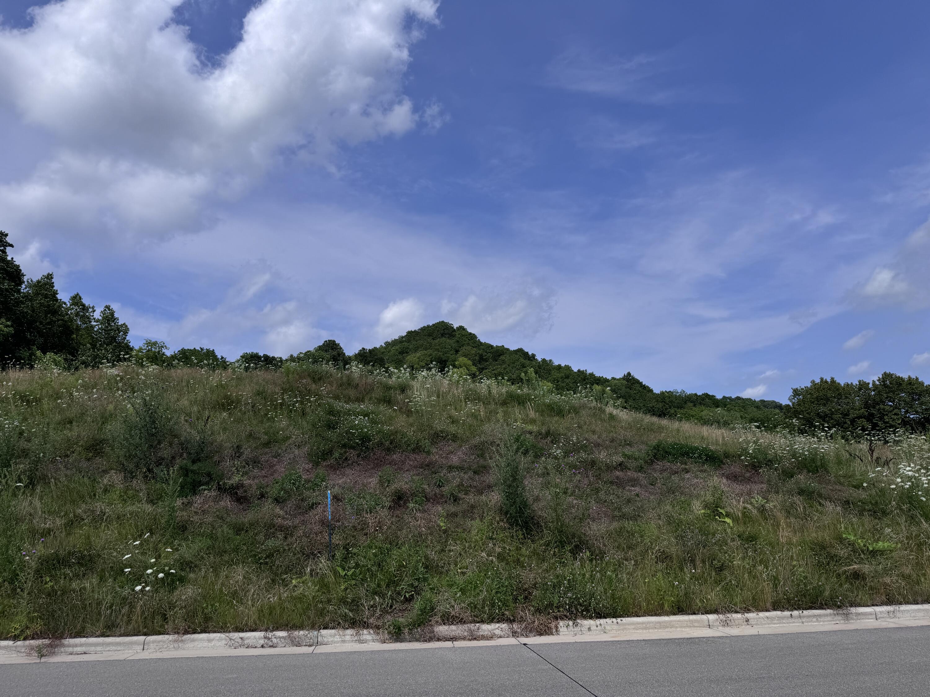 Lot 38 Madison Heights Onalaska WI 54650 1950061 image9