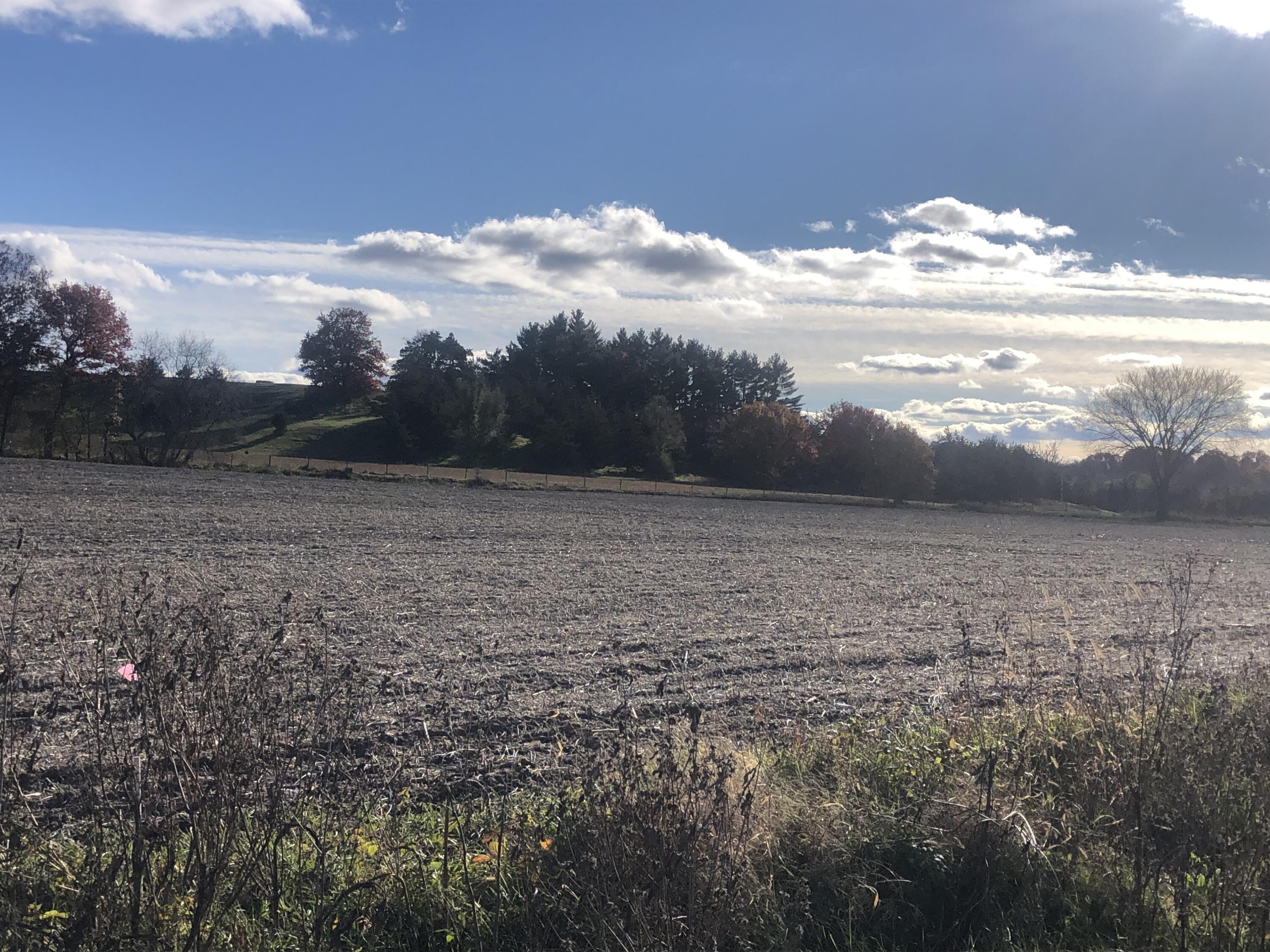 Lot 4 County Road C Ettrick WI 54627 1770454 image1