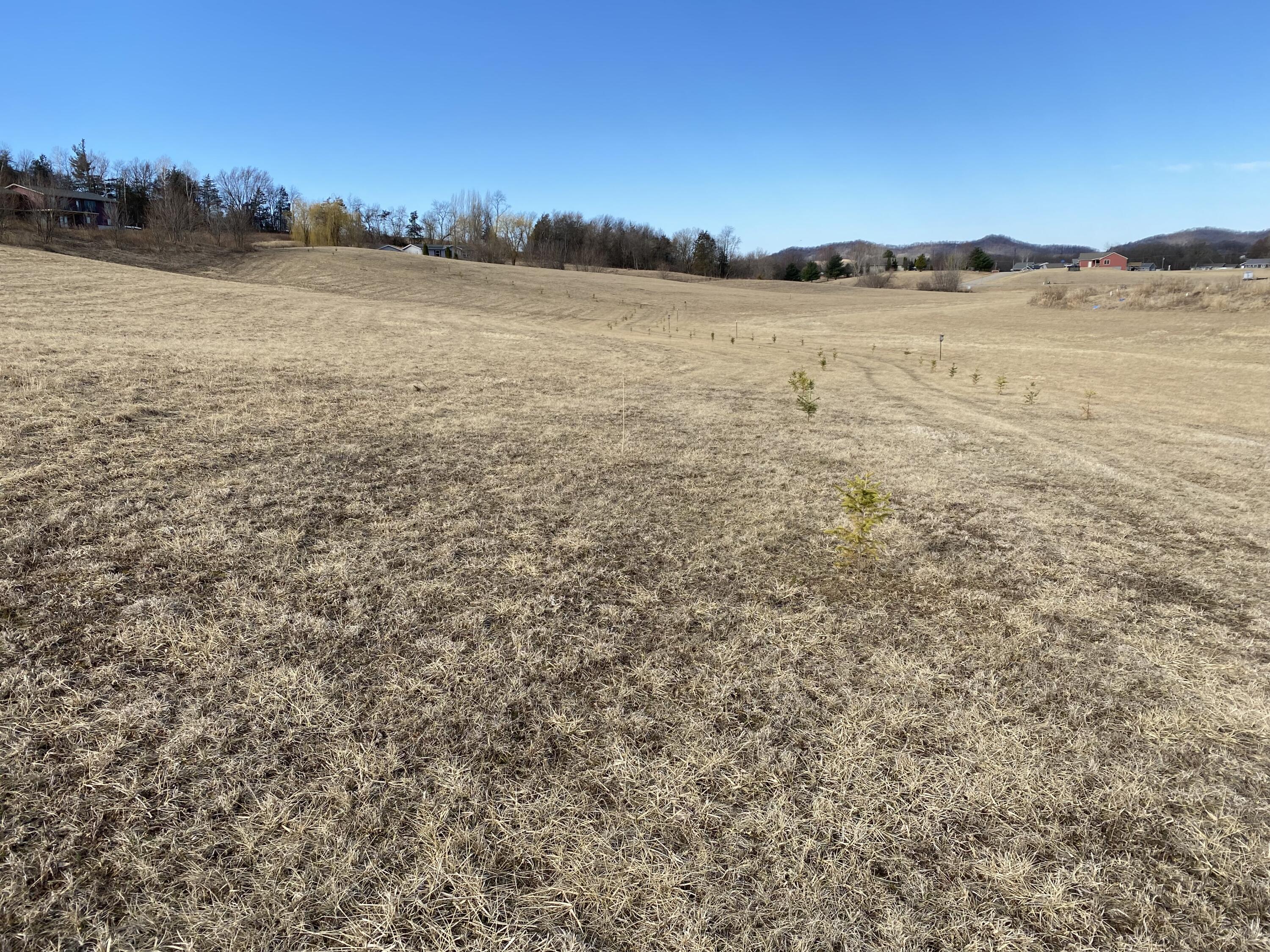 Lot 43 Bluestem Gale WI 54661 1972173 image5