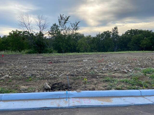 Lot 45 Madison Heights Onalaska WI 54650 1885727 image1