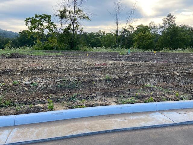 Lot 46 Madison Heights Onalaska WI 54650 1843628 image1