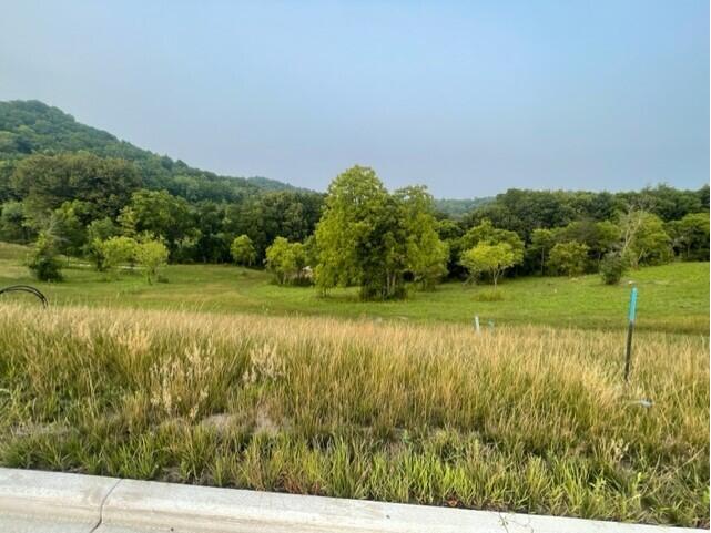 Lot 48 Madison Heights Onalaska WI 54650 1931940 image1