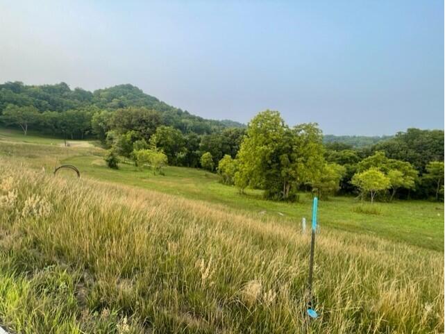 Lot 48 Madison Heights Onalaska WI 54650 1931940 image2