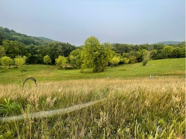 Lot 48 Madison Heights Onalaska WI 54650 1931940 image3