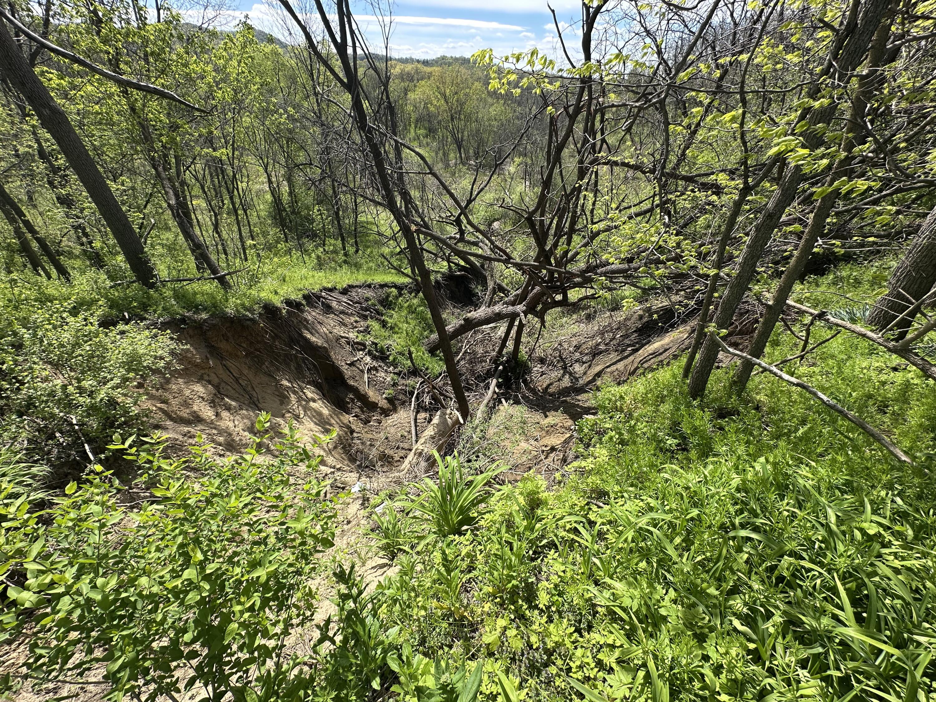 Lot 5 11th Galesville WI 54630 1962534 image3