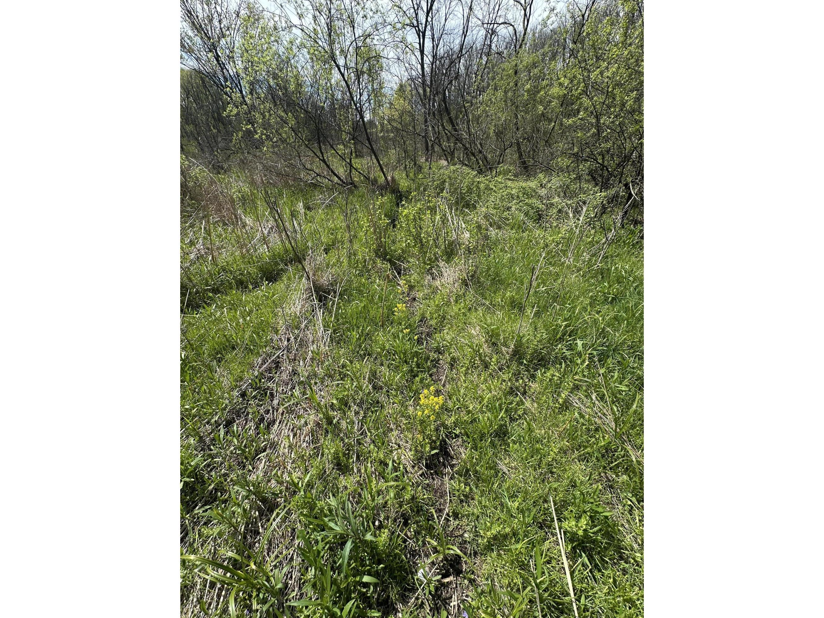 Lot 5 11th Galesville WI 54630 1962534 image4