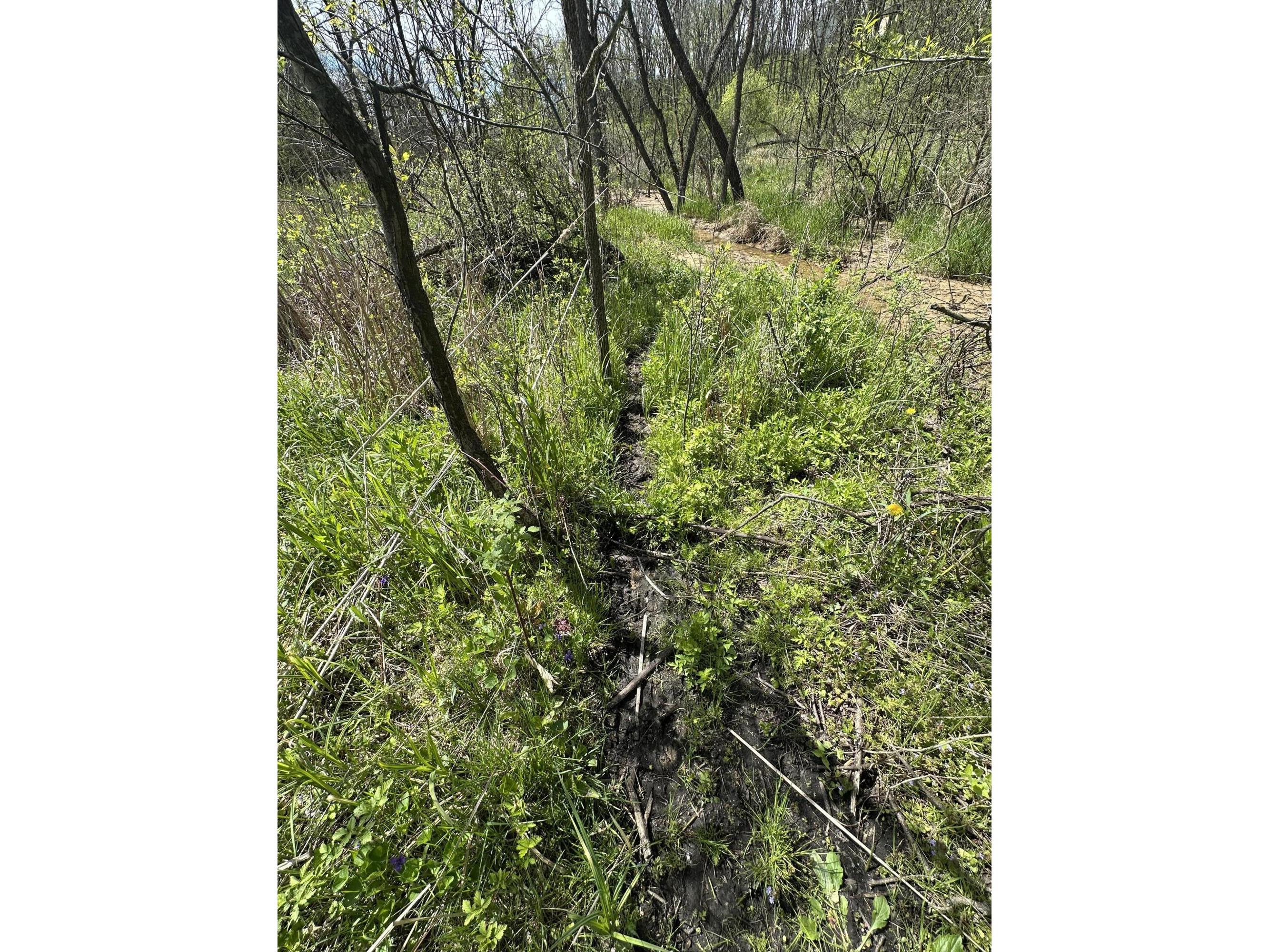 Lot 5 11th Galesville WI 54630 1962534 image5