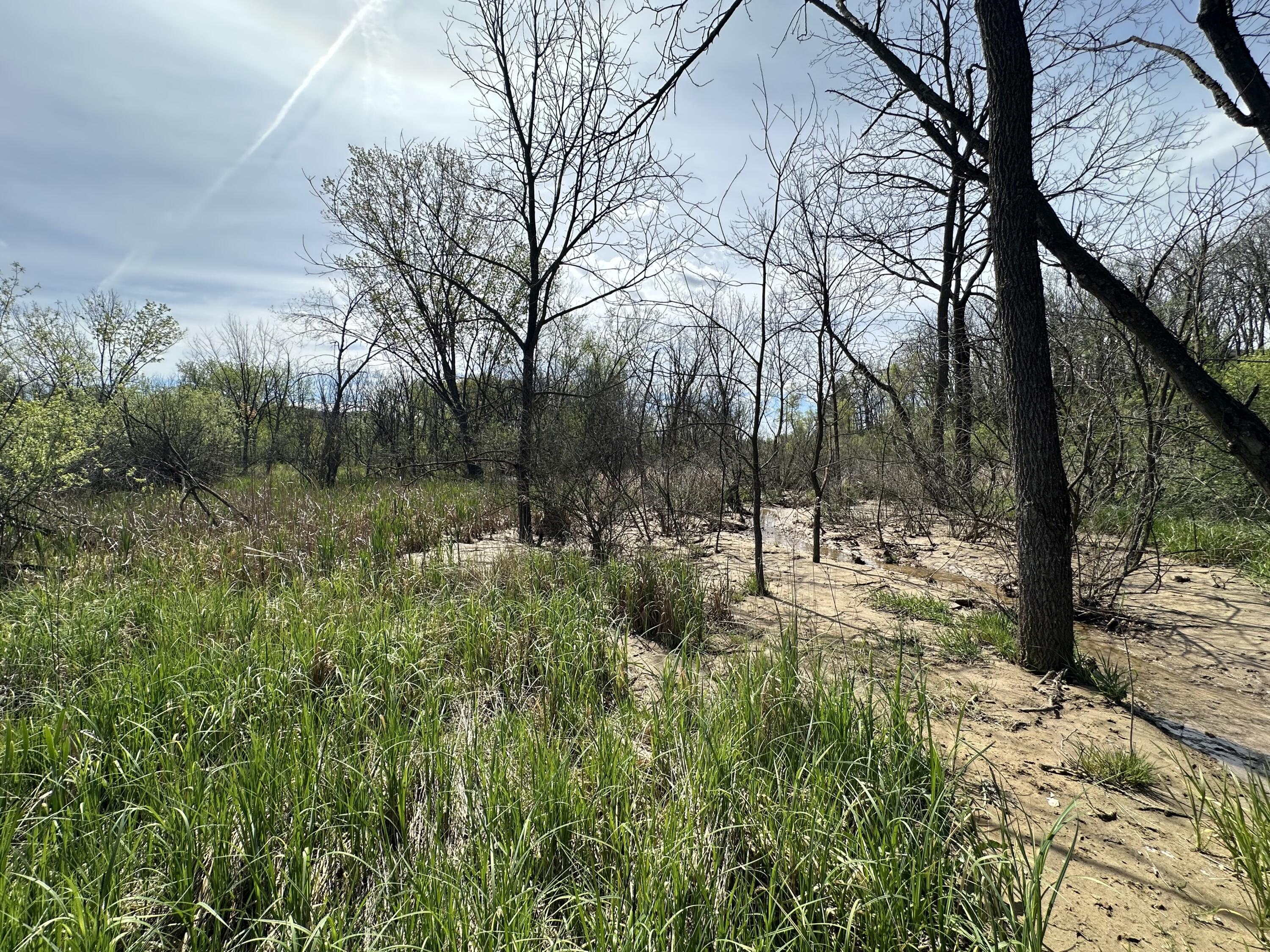 Lot 5 11th Galesville WI 54630 1962534 image8