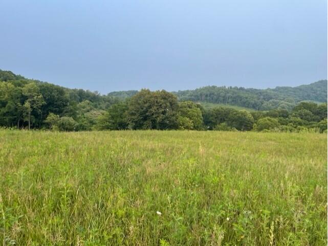 Lot 51 Madison Heights Onalaska WI 54650 1931945 image2