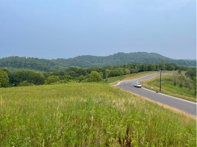 Lot 51 Madison Heights Onalaska WI 54650 1931945 image3