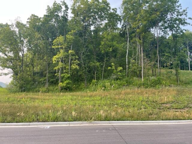 Lot 53 Madison Heights Onalaska WI 54650 1931955 image1