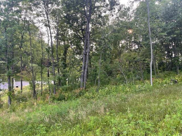 Lot 53 Madison Heights Onalaska WI 54650 1931955 image3