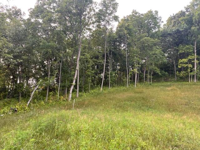 Lot 53 Madison Heights Onalaska WI 54650 1931955 image4