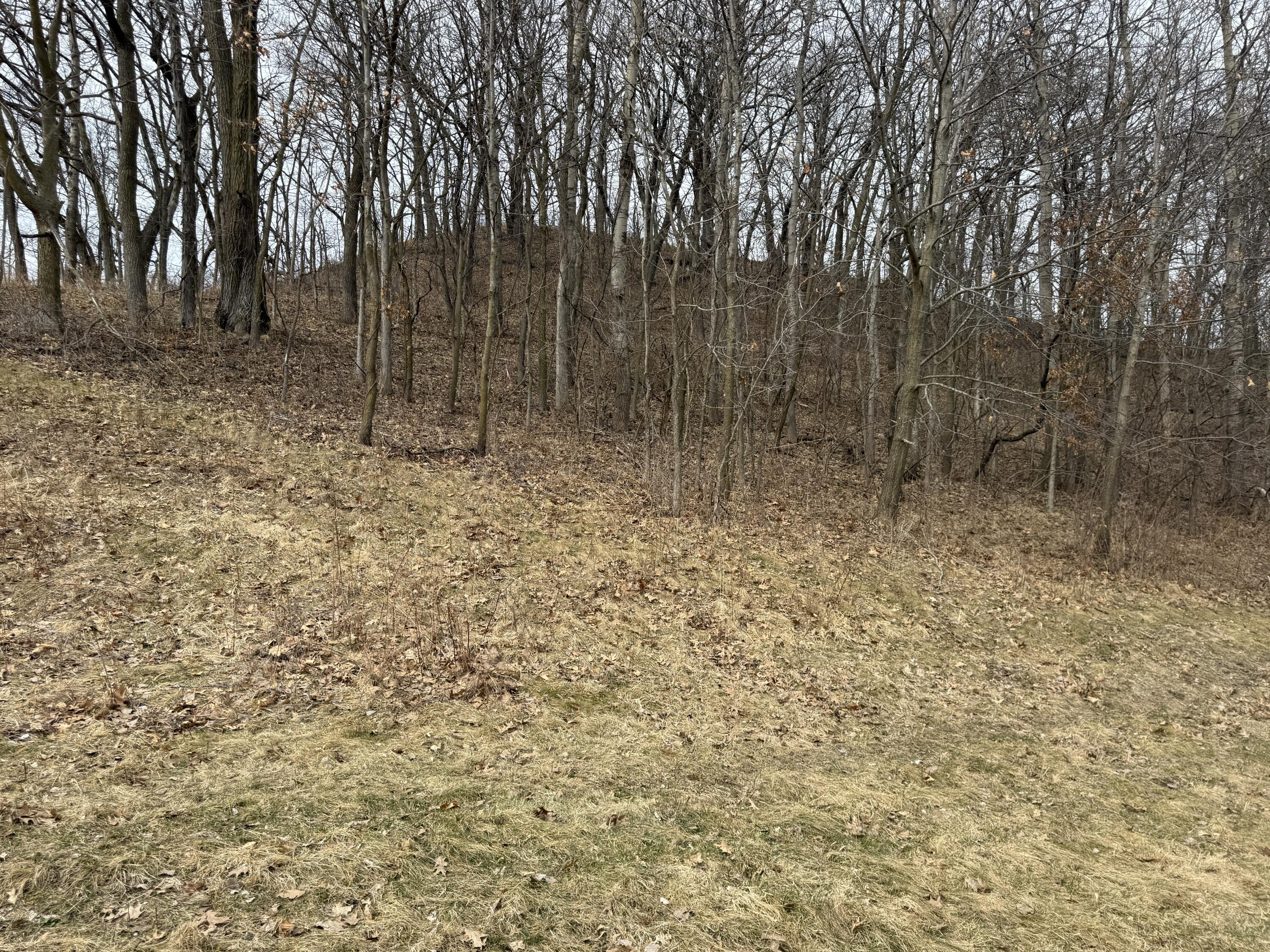 Lot 54 Grand Glen Onalaska WI 54650 1954941 image4