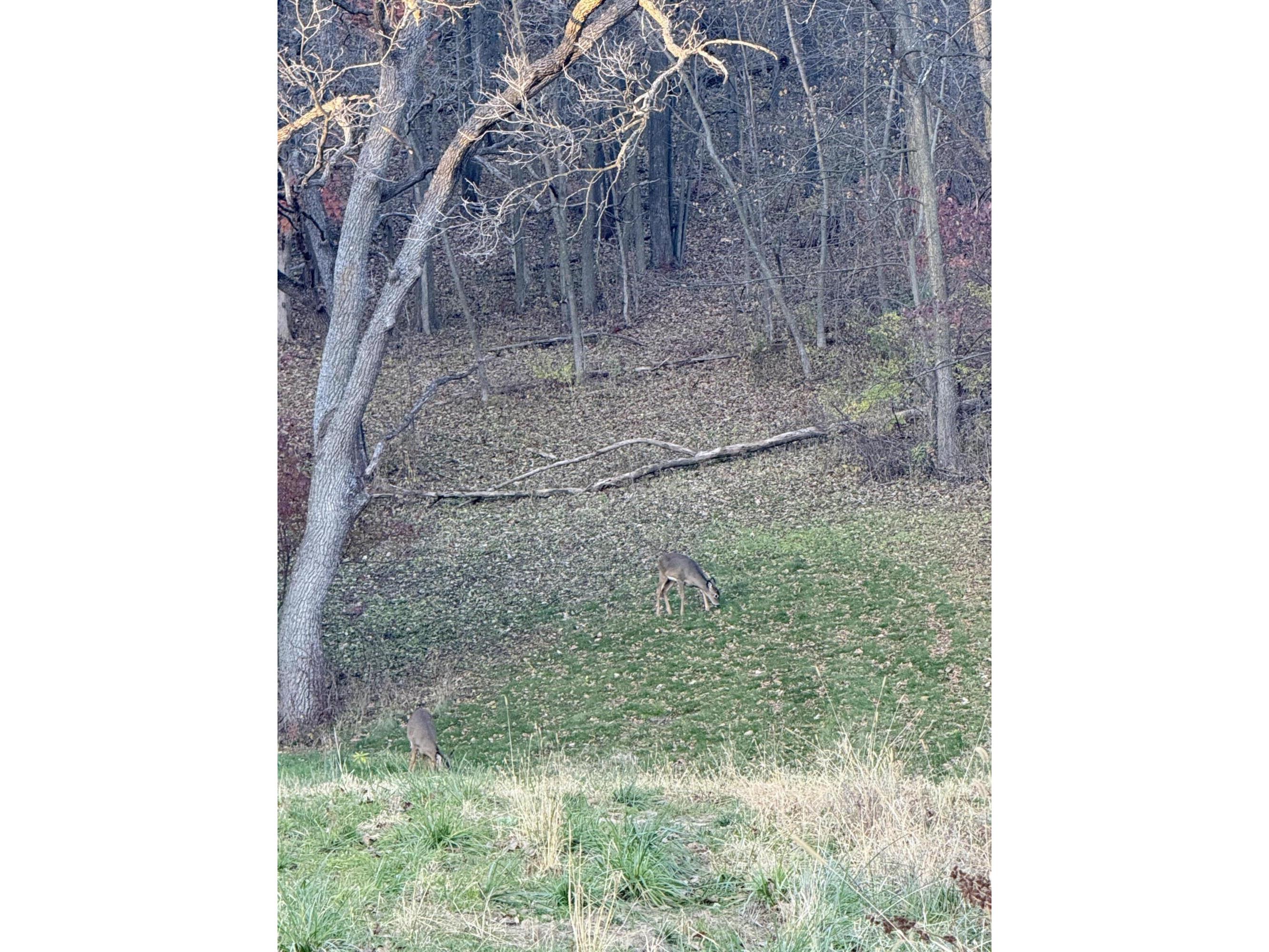 Lot 56 Grand Glen Onalaska WI 54650 1960717 image2