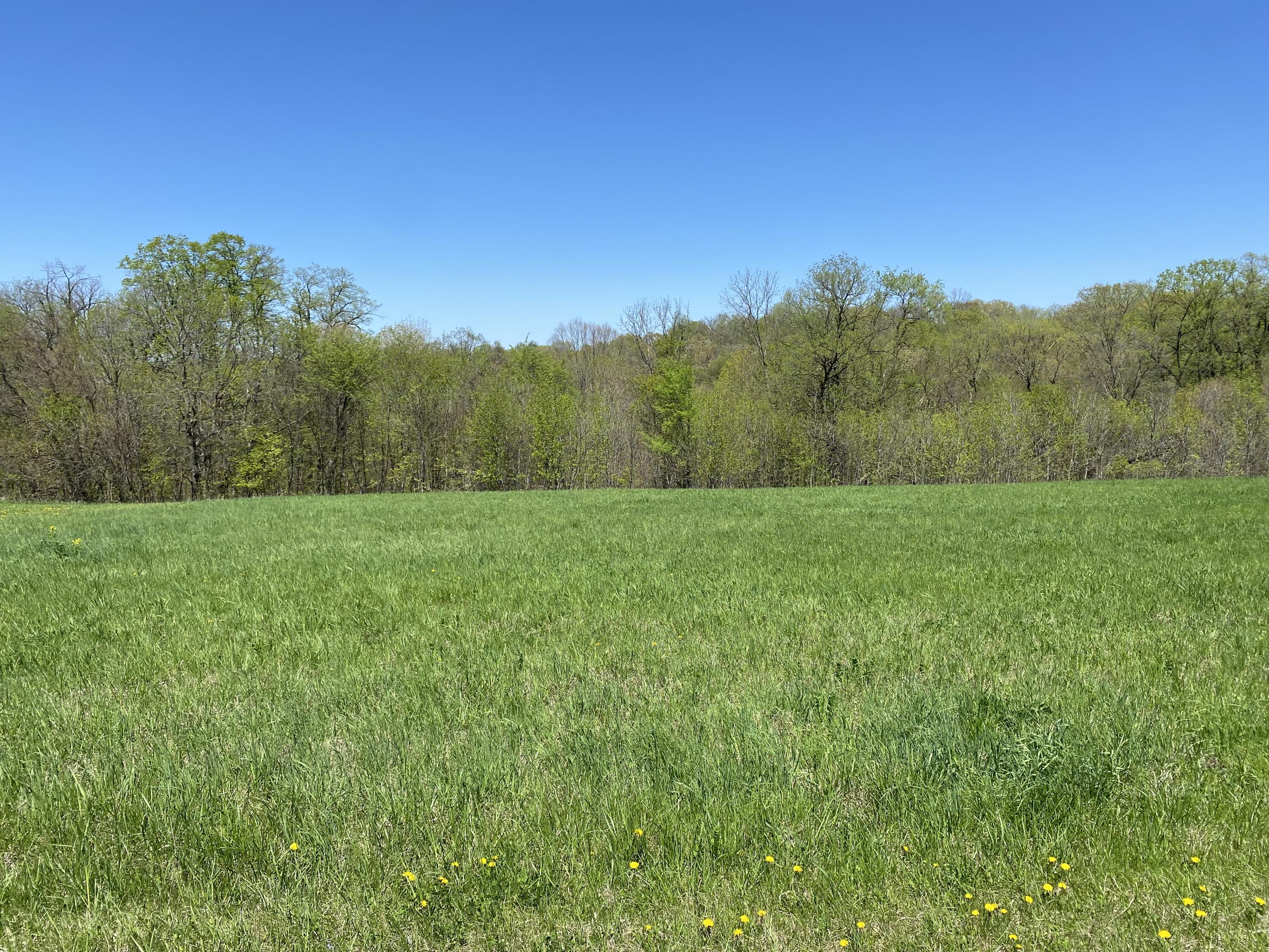 Lot 6 Grandview Freeman WI 54624 1958438 image2