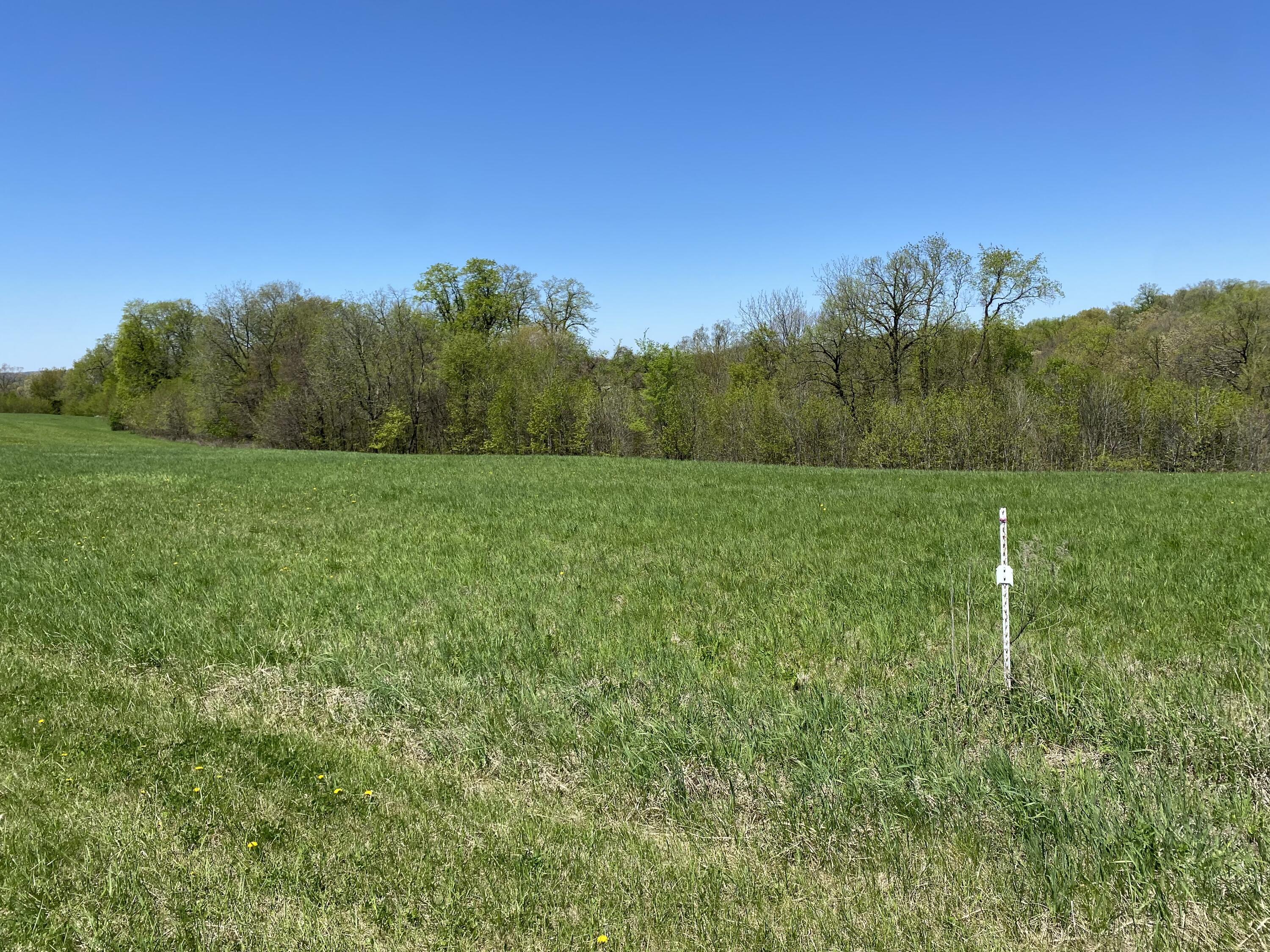 Lot 6 Grandview Freeman WI 54624 1958438 image4