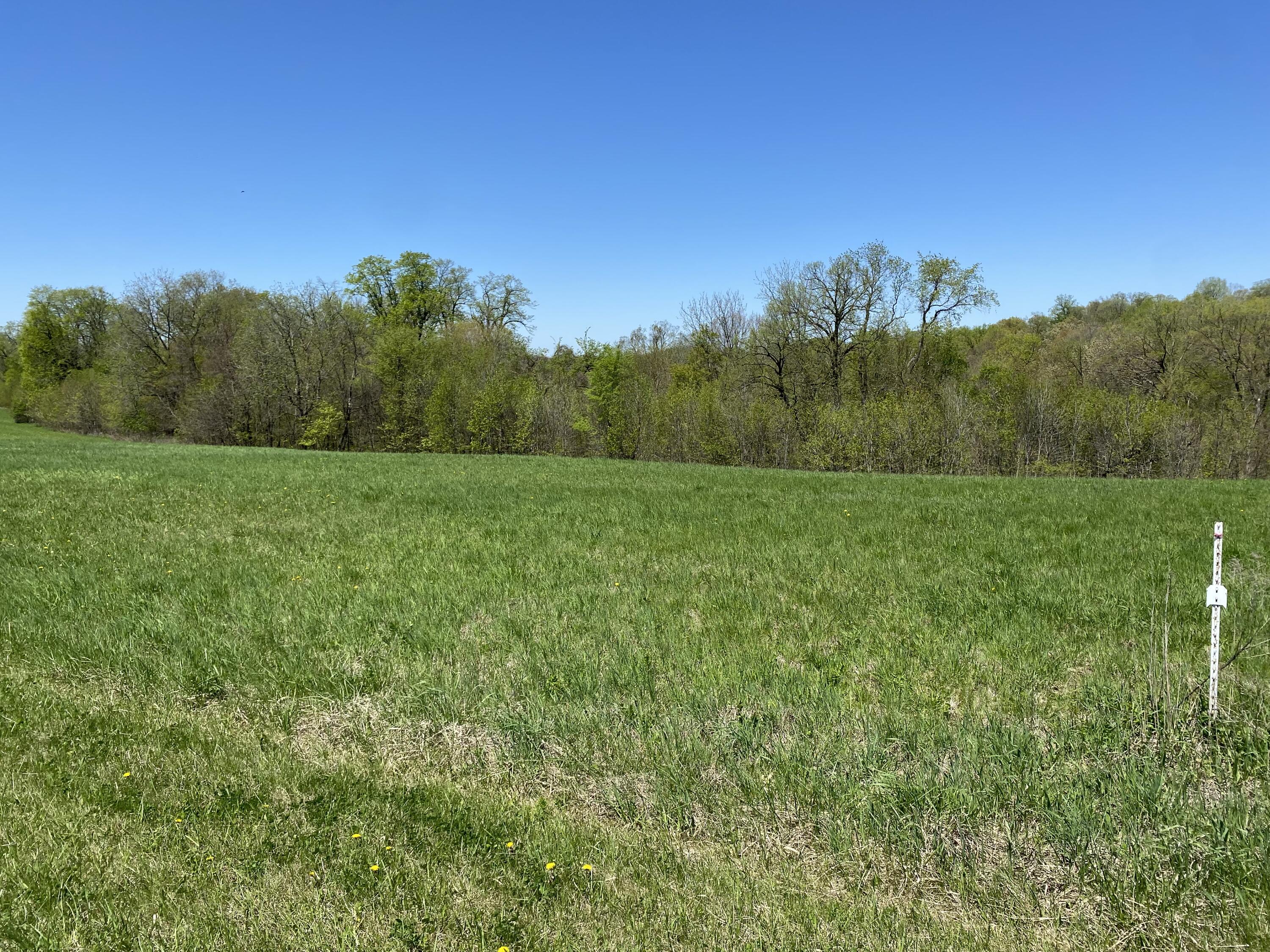 Lot 6 Grandview Freeman WI 54624 1958438 image5