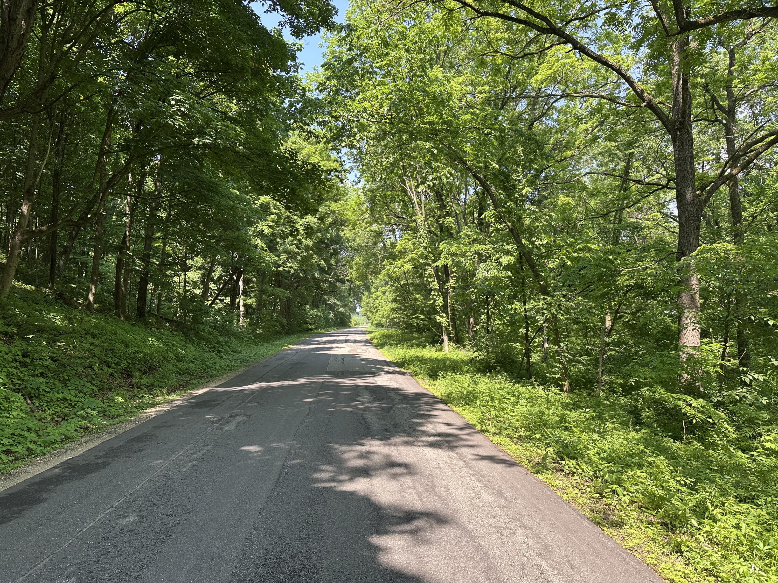 Lot 6 Spaulding Trempealeau WI 54661 1921063 image5