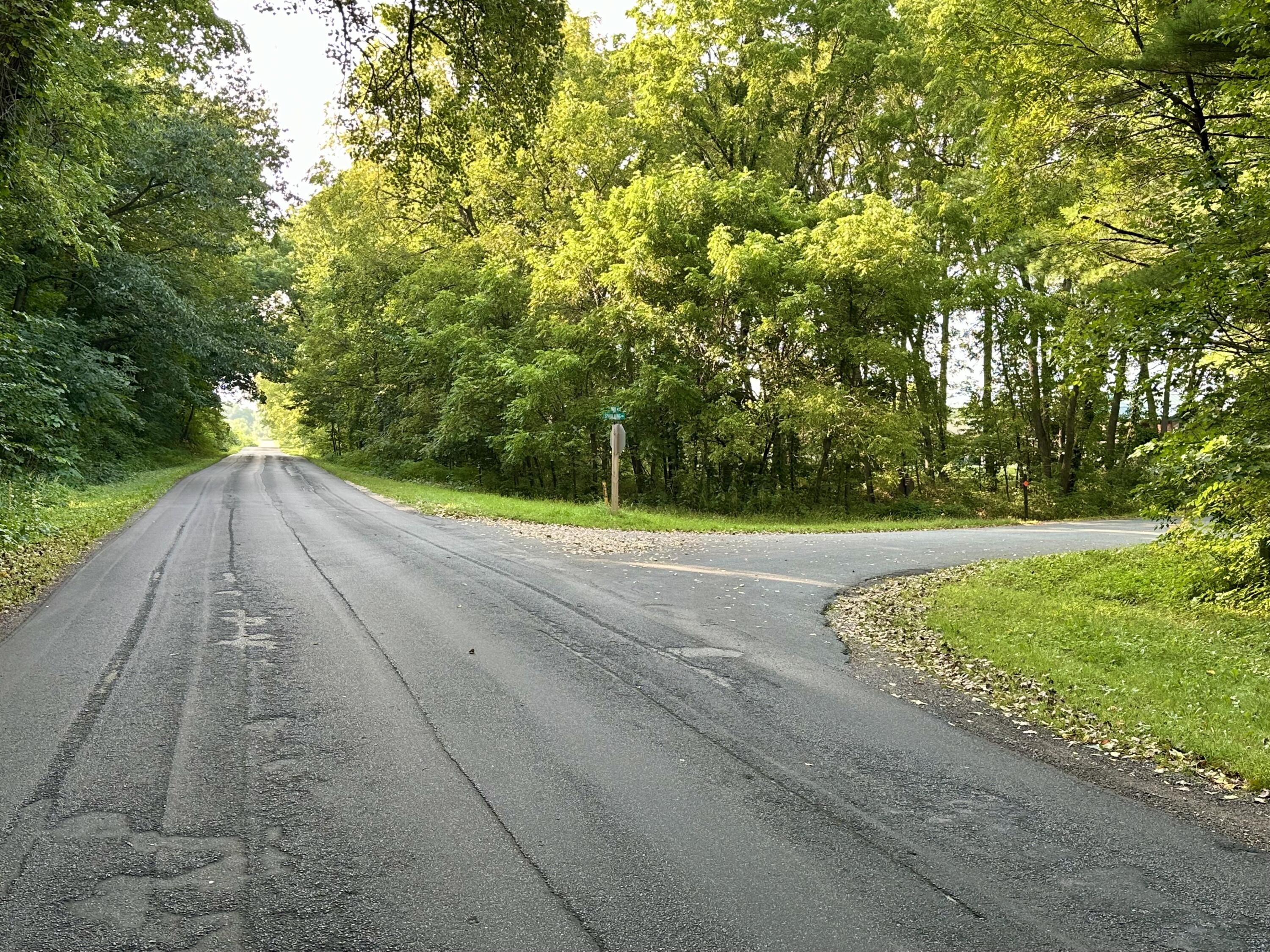 Lot 6 Spaulding Trempealeau WI 54661 1921063 image6