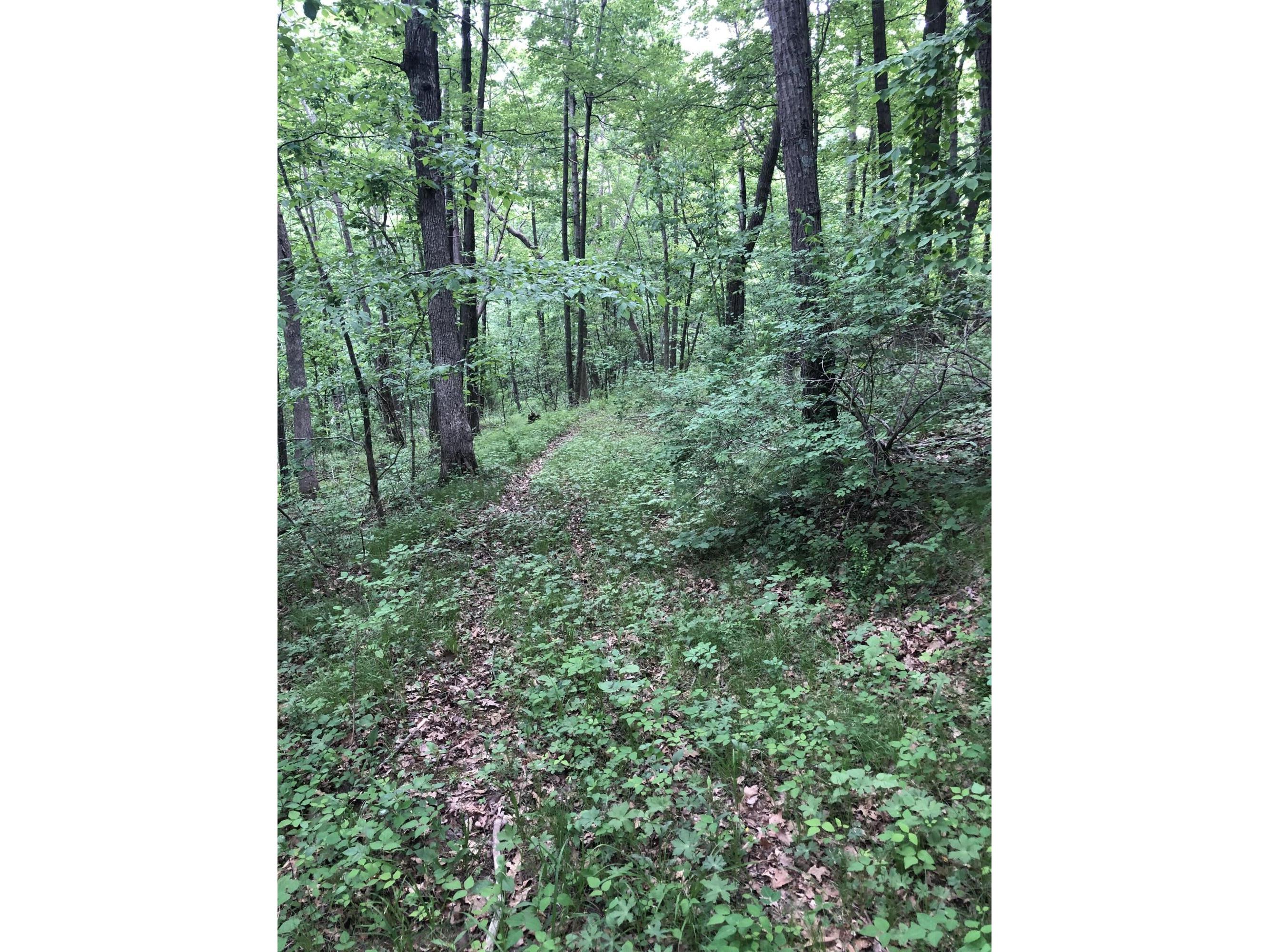 Lot0 Charlies Greenfield WI 54623 1836655 image1