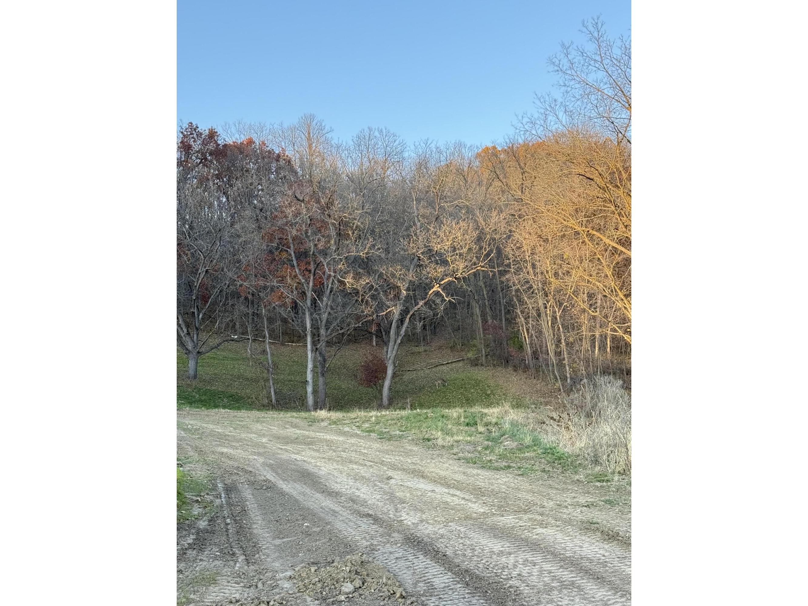 Lt# 56 Grand Glen Onalaska WI 54650 1915696 image1