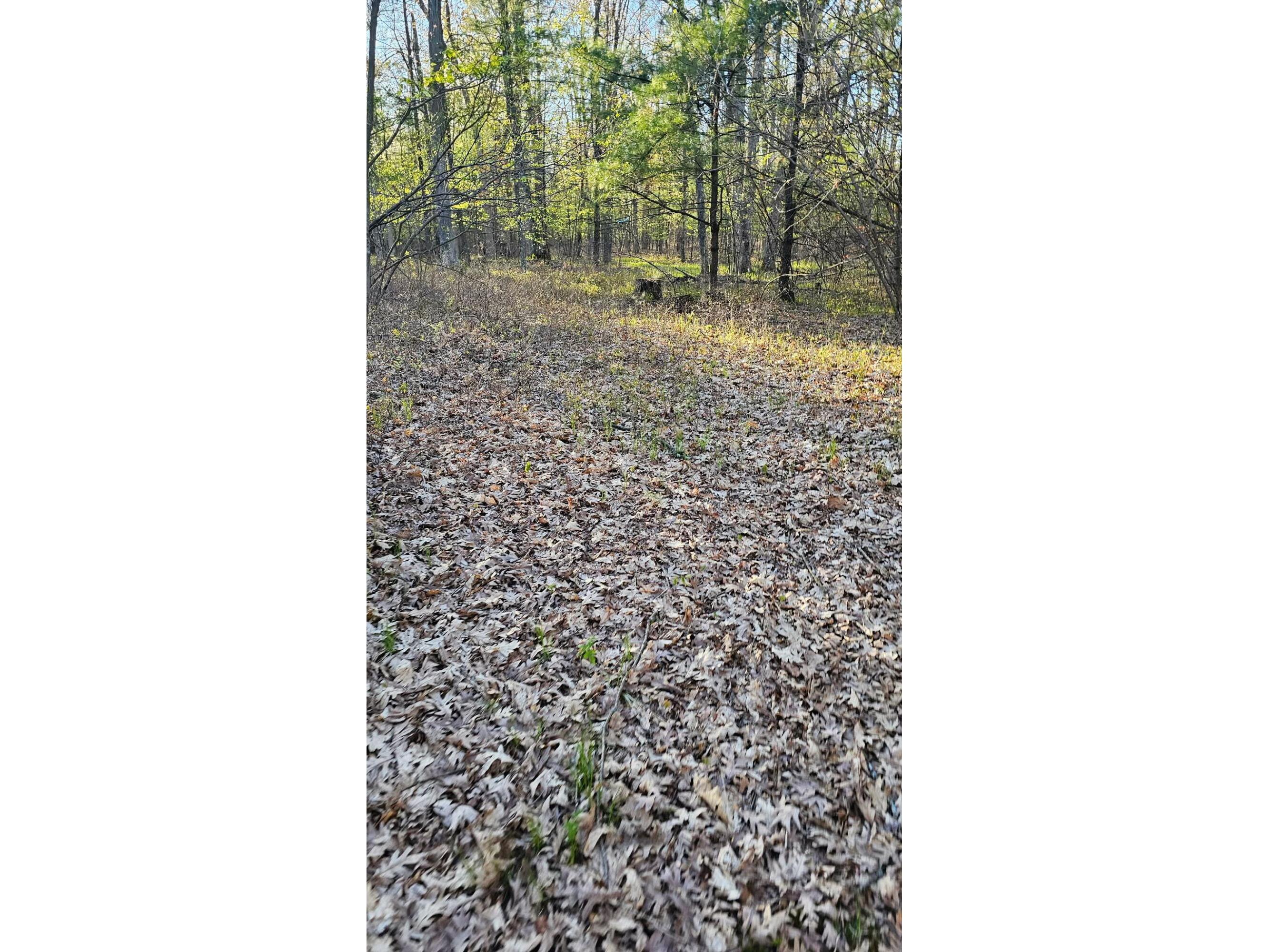 N1057 Borglin Levis WI 54456 1962200 image29