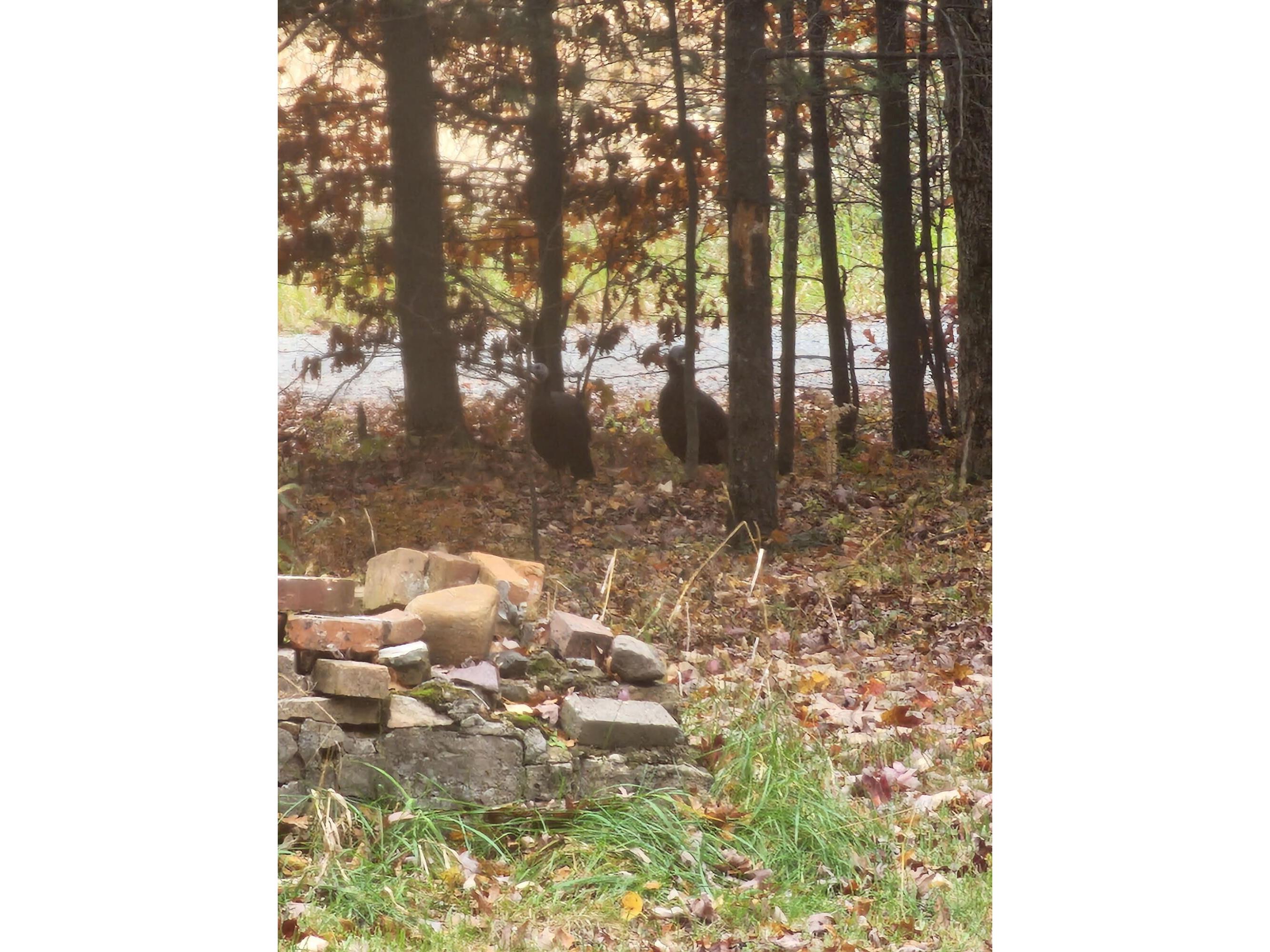 N1057 Borglin Levis WI 54456 1962200 image48