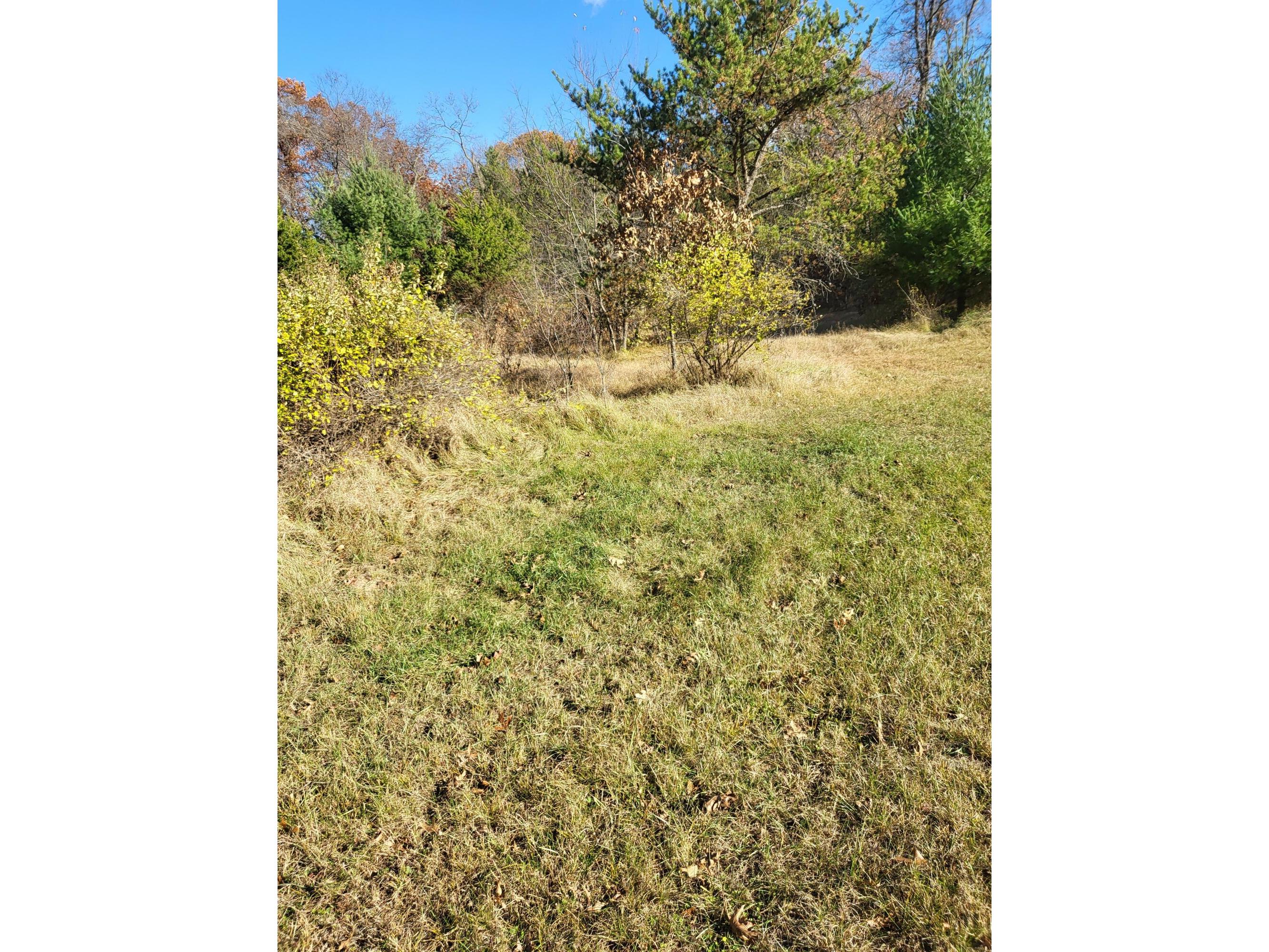 N11612 10th Necedah WI 54646 1941958 image10