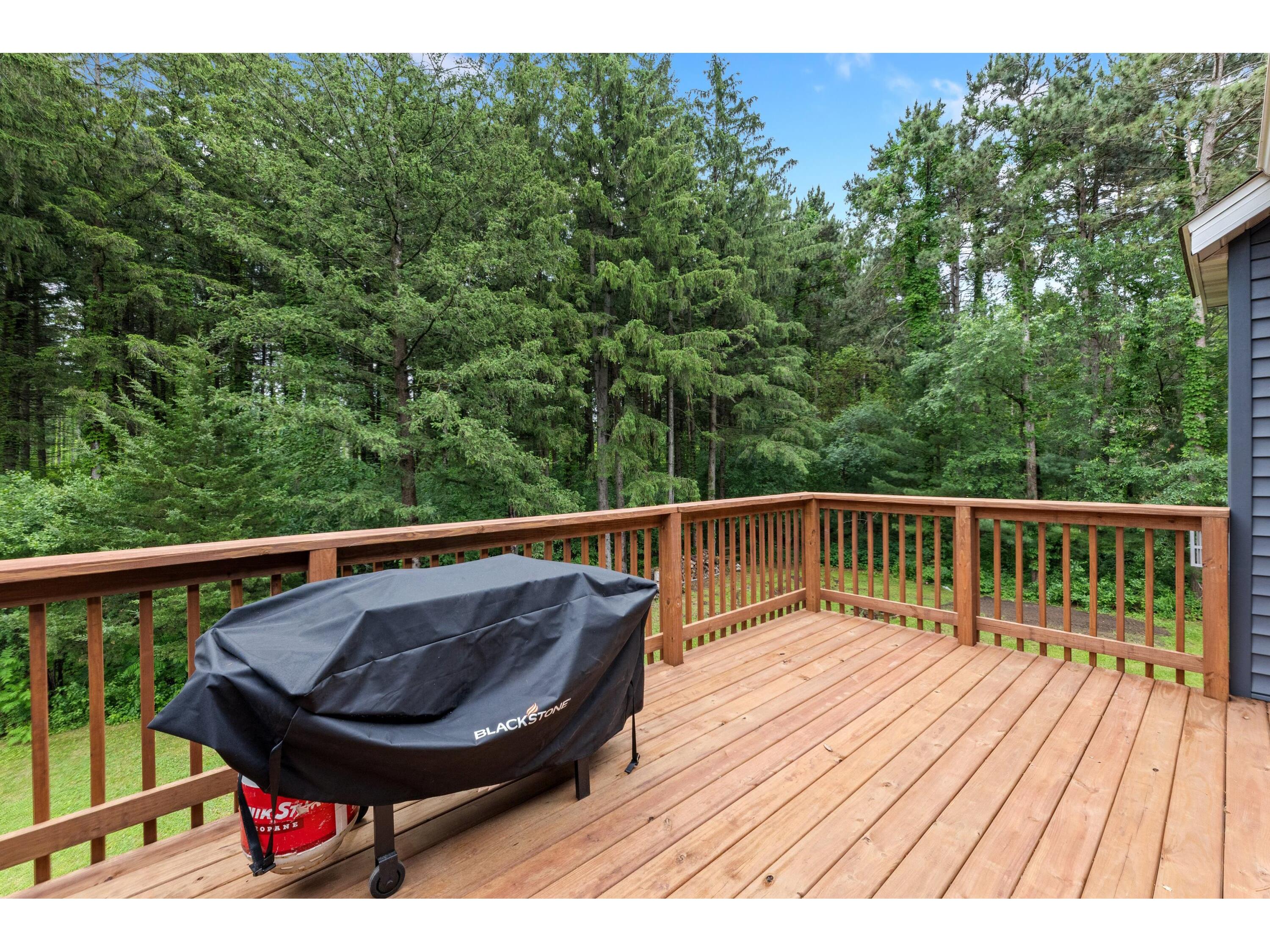 N15782 Delaney Trempealeau WI 54661 1965222 image36