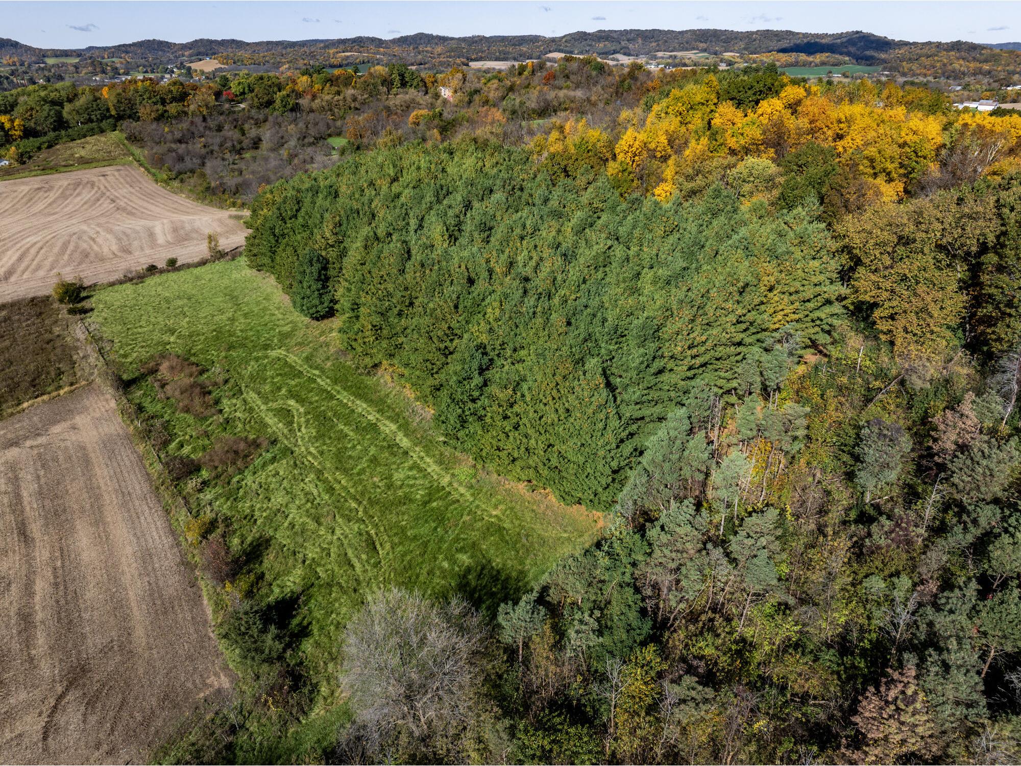 N16450 Hilltop Gale WI 54630 1941416 image12