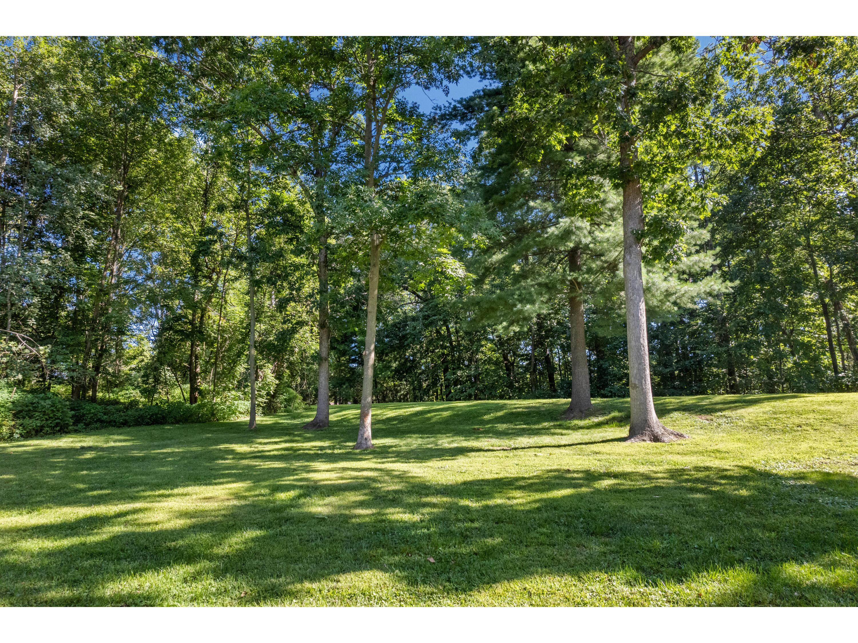 N1947 Forest Ridge Shelby WI 54601 1932858 image6