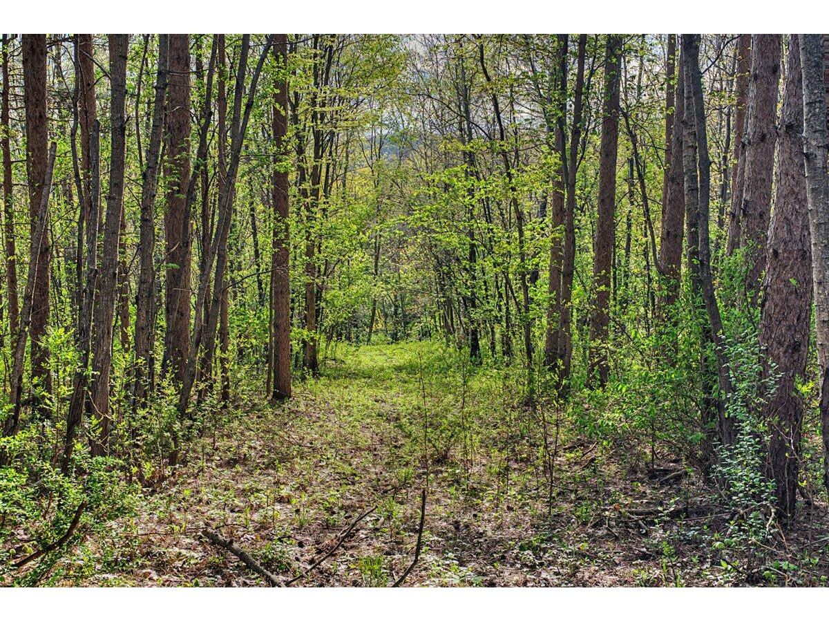N2487 Nuttelman Barre WI 54601 1961498 image62