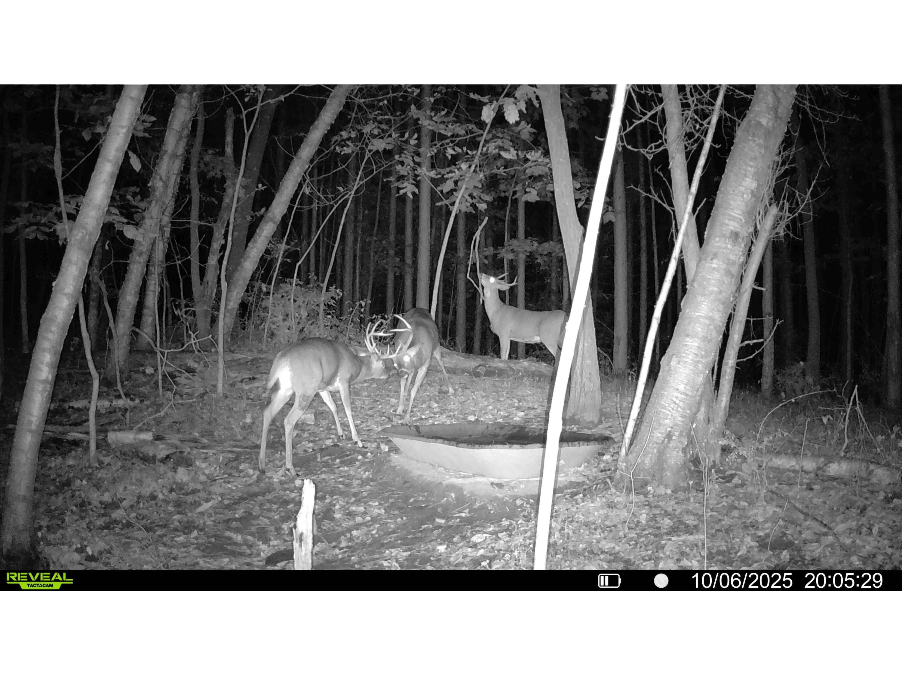 N2487 Nuttelman Barre WI 54601 1961498 image78