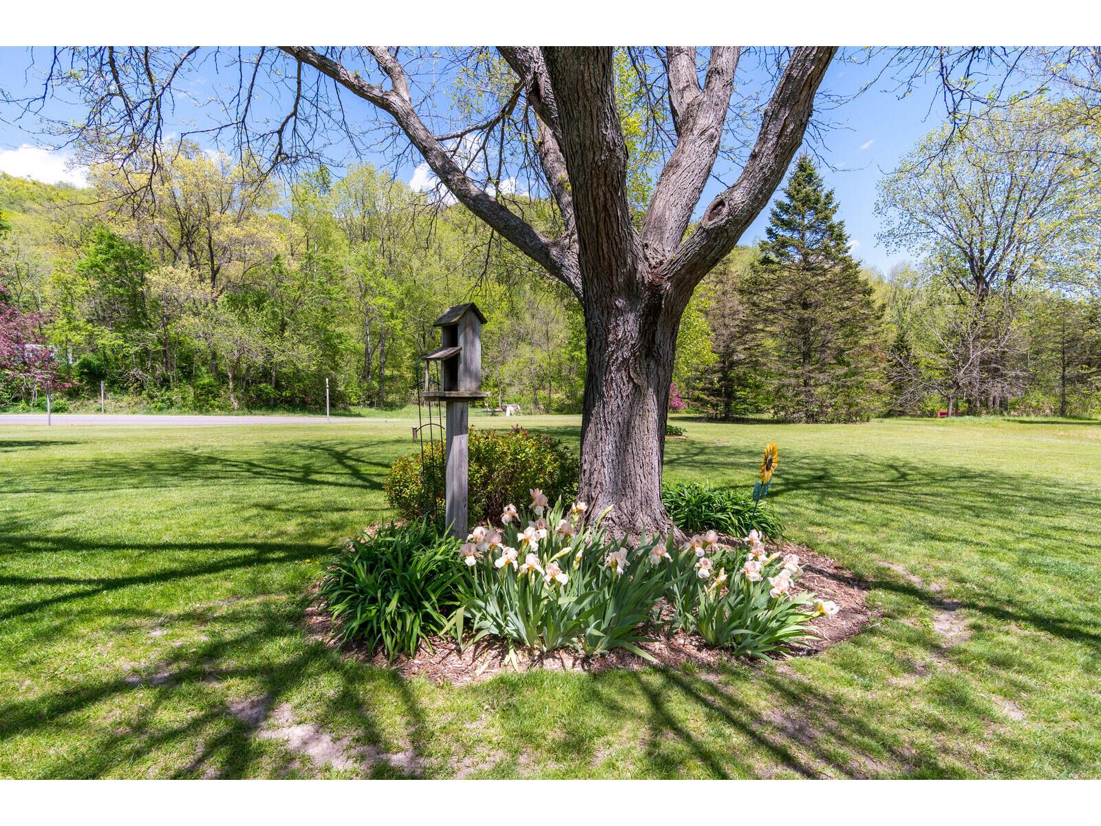 N3690 Lux Bergen WI 54601 1963097 image21